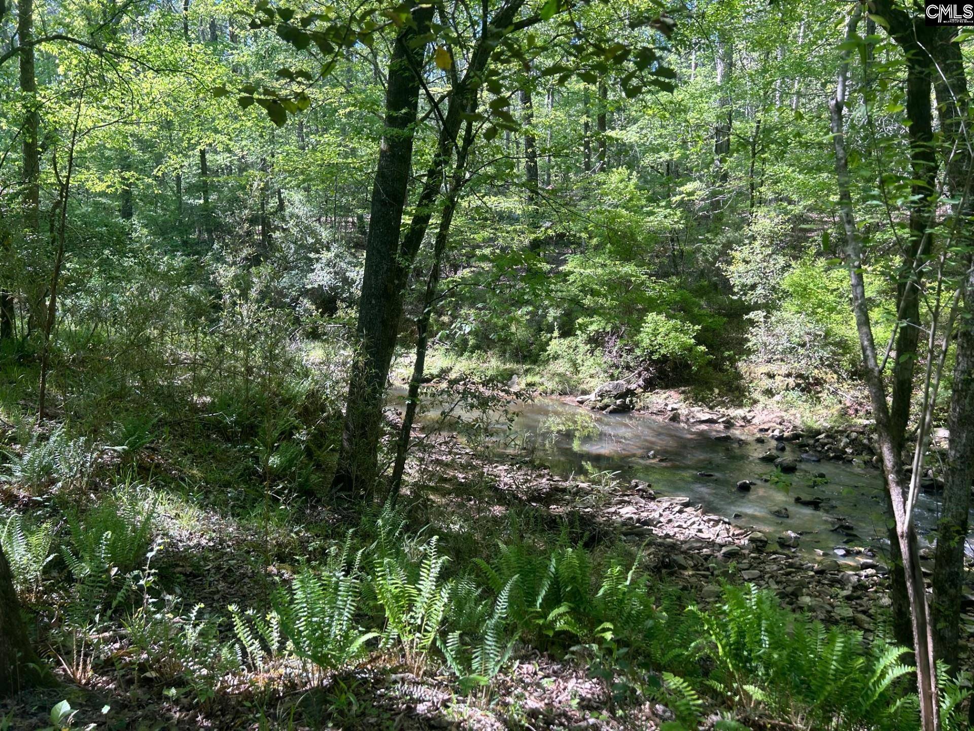 Chapin, SC 29036,TBD Martin Road