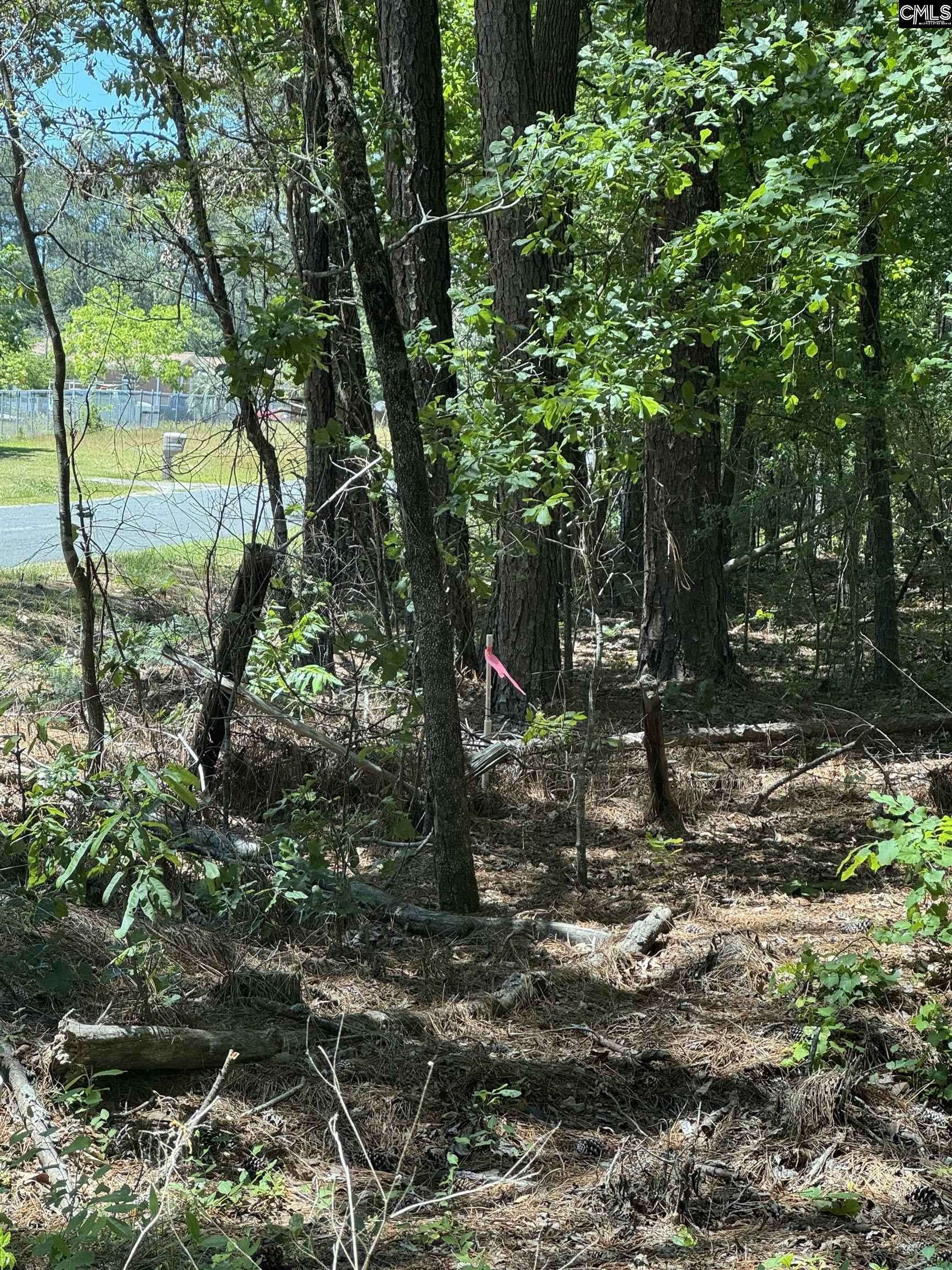 Swansea, SC 29160,0 Basil Road