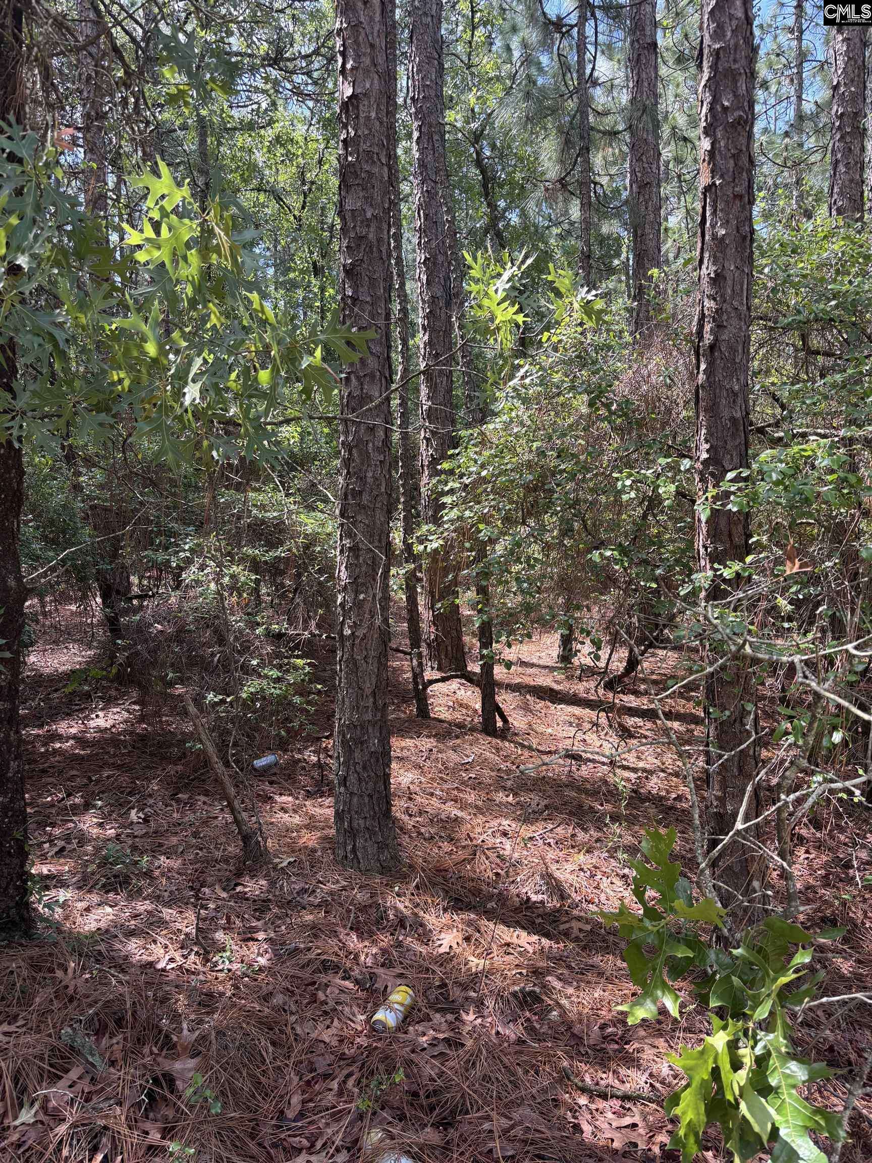 Leesville, SC 29070,Lot 1 Gary Hallman Circle