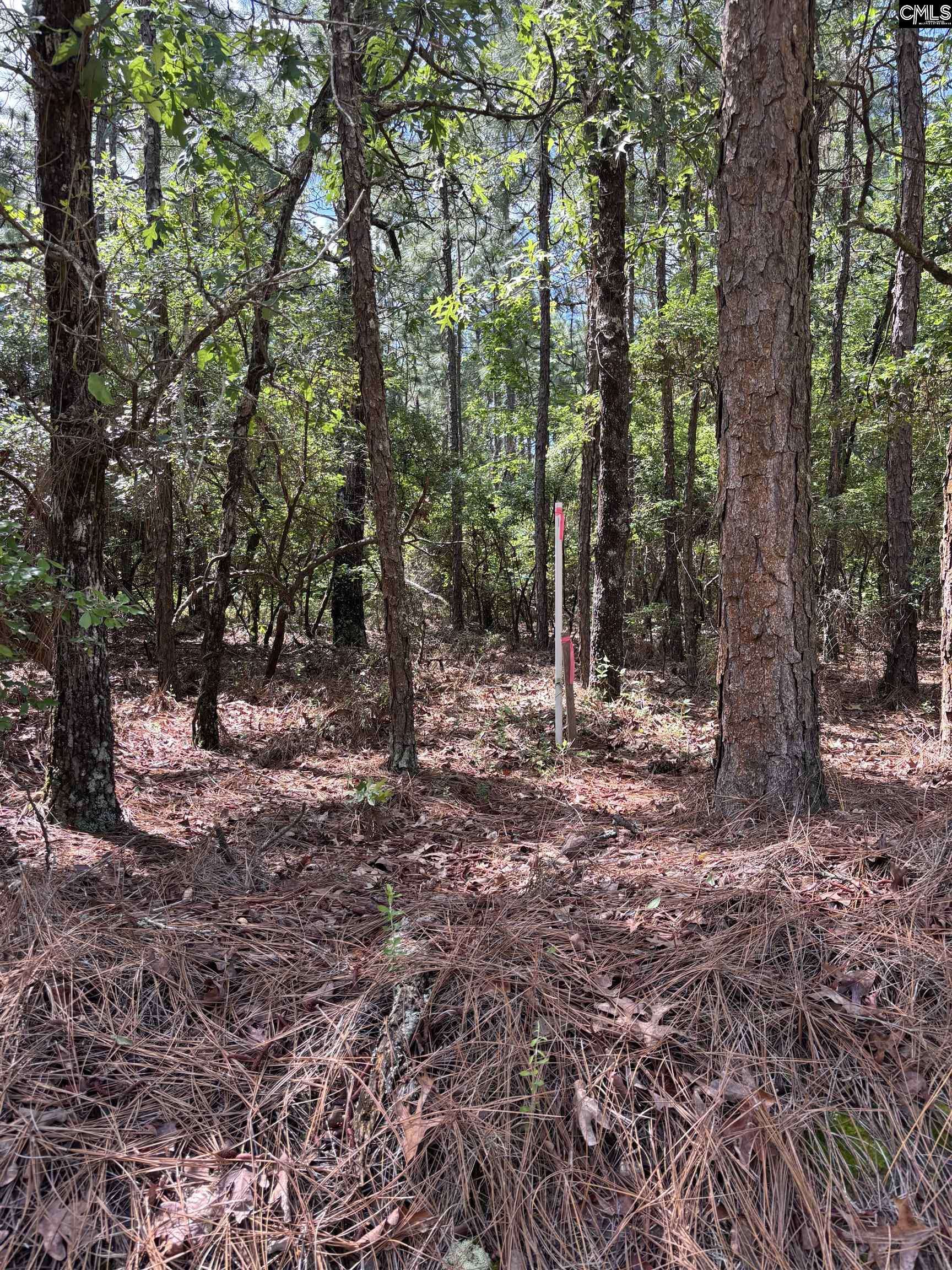 Leesville, SC 29070,Lot 2 Gary Hallman Circle