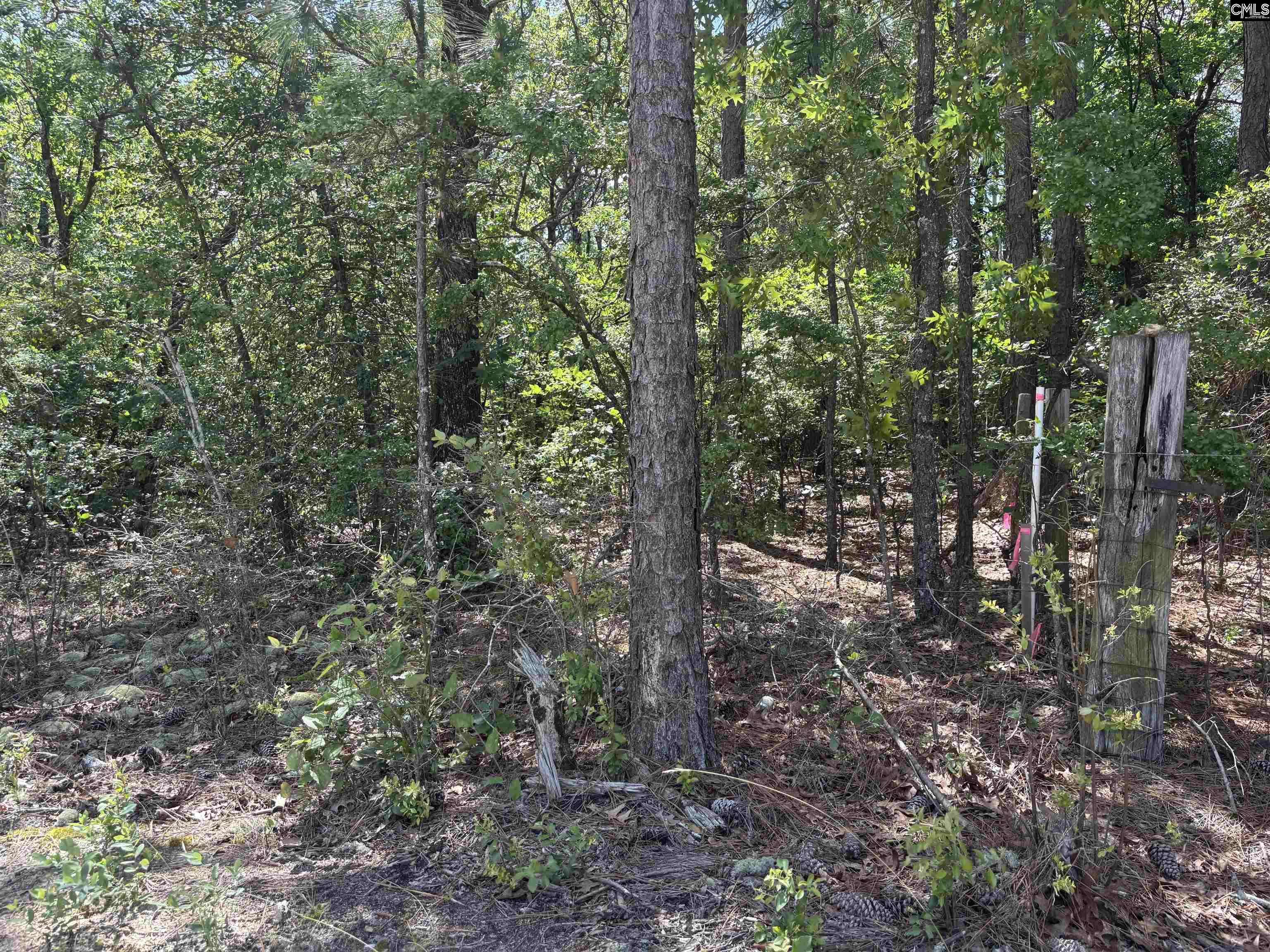 Gilbert, SC 29070,Lot 4 Gary Hallman Circle