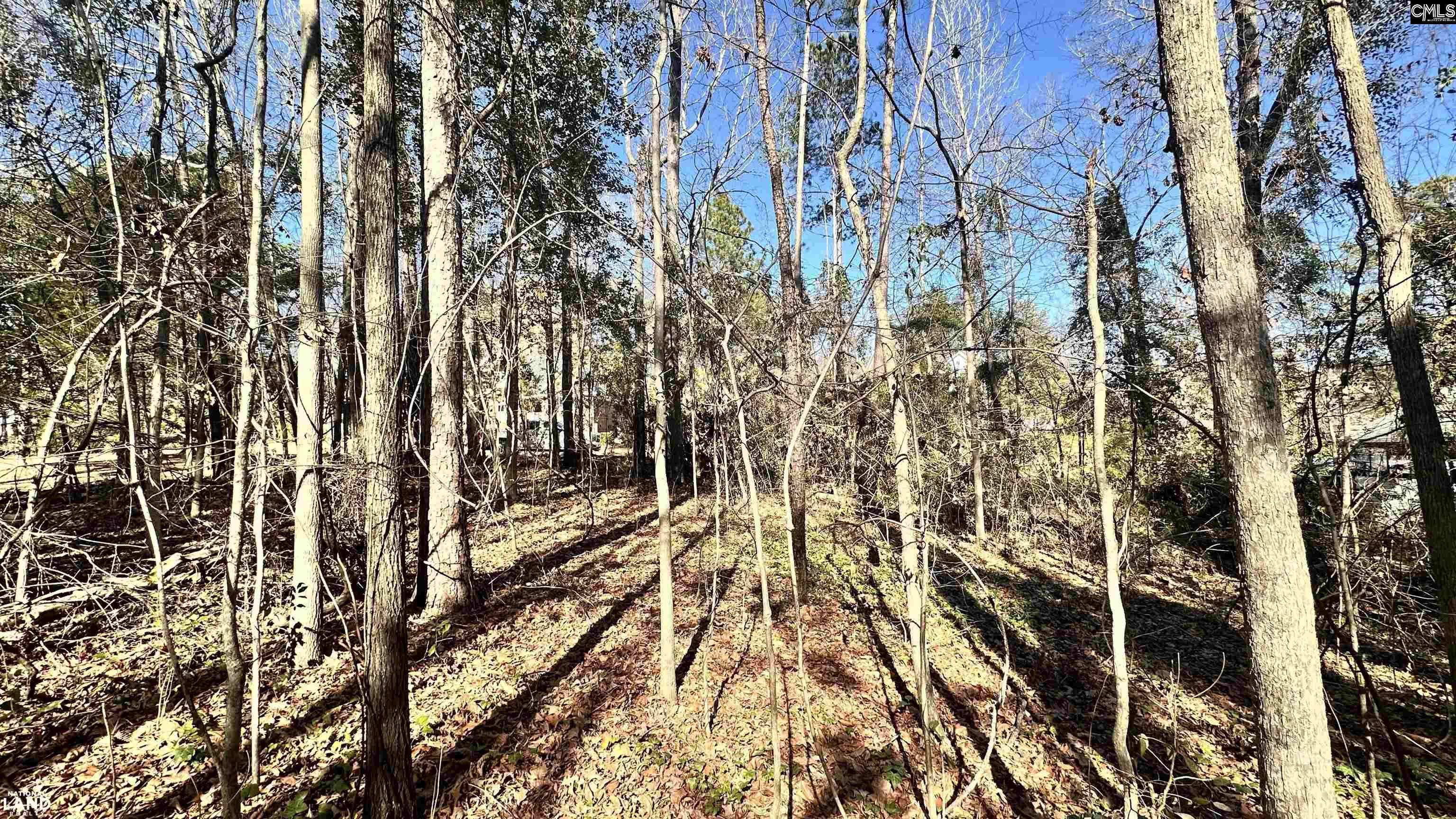Columbia, SC 29212,217 Char Oak Drive