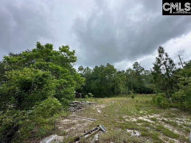 Gaston, SC 29053,123 Landreth Court