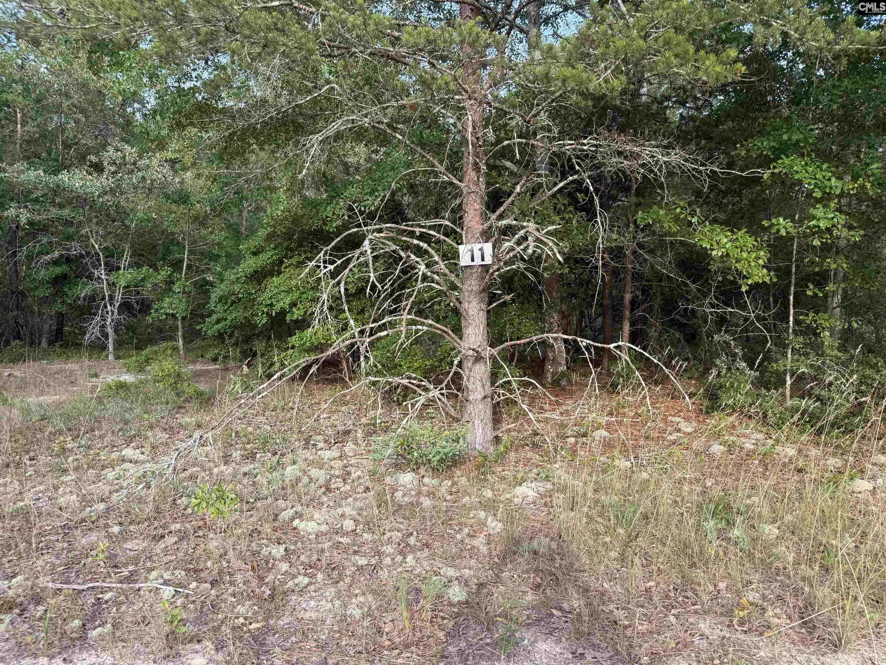Leesville, SC 29070,Lot 11 Russell Rowe Road #11
