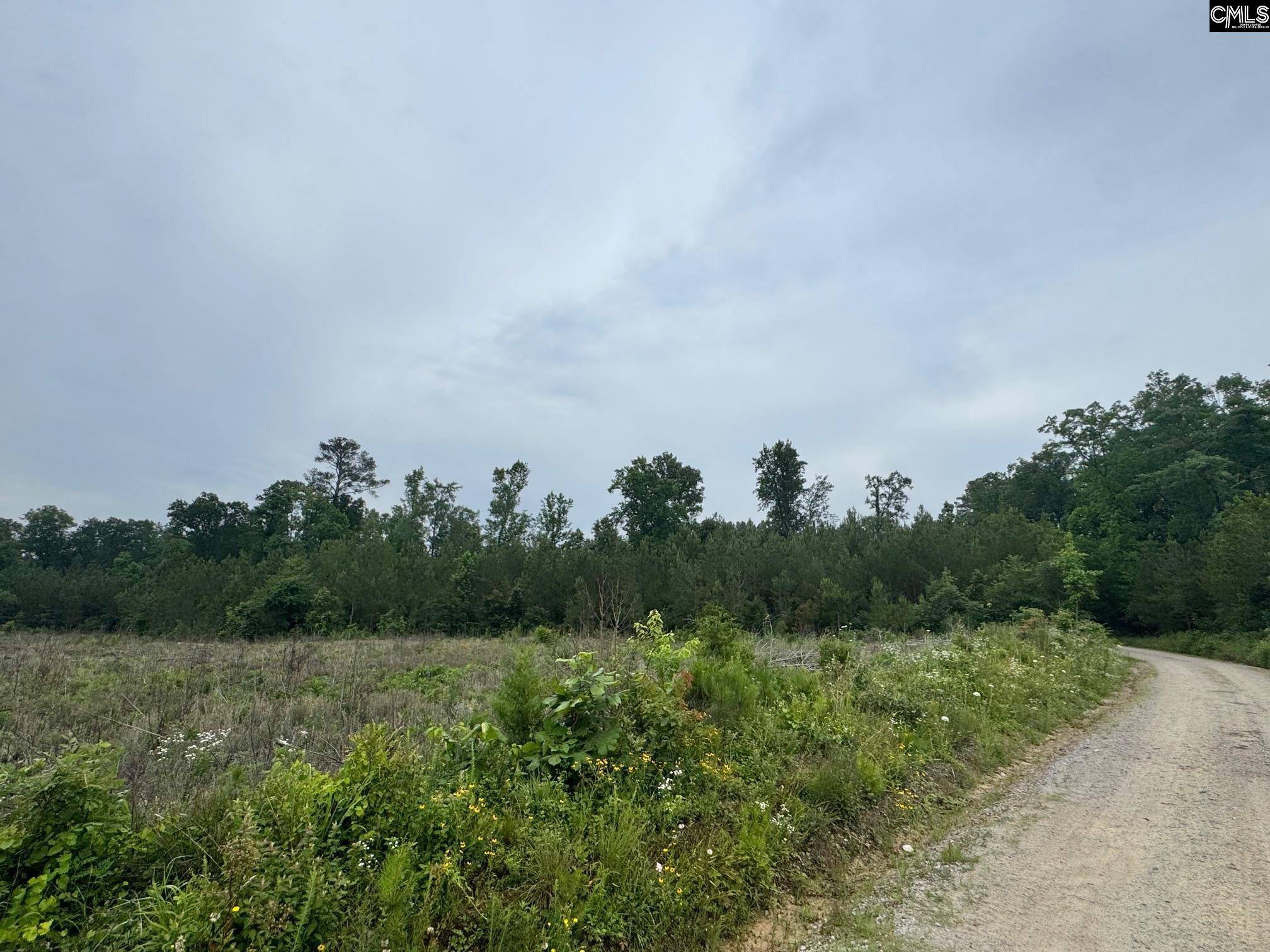 Saluda, SC 29138,0 Ebb Mack Road #Lot 5