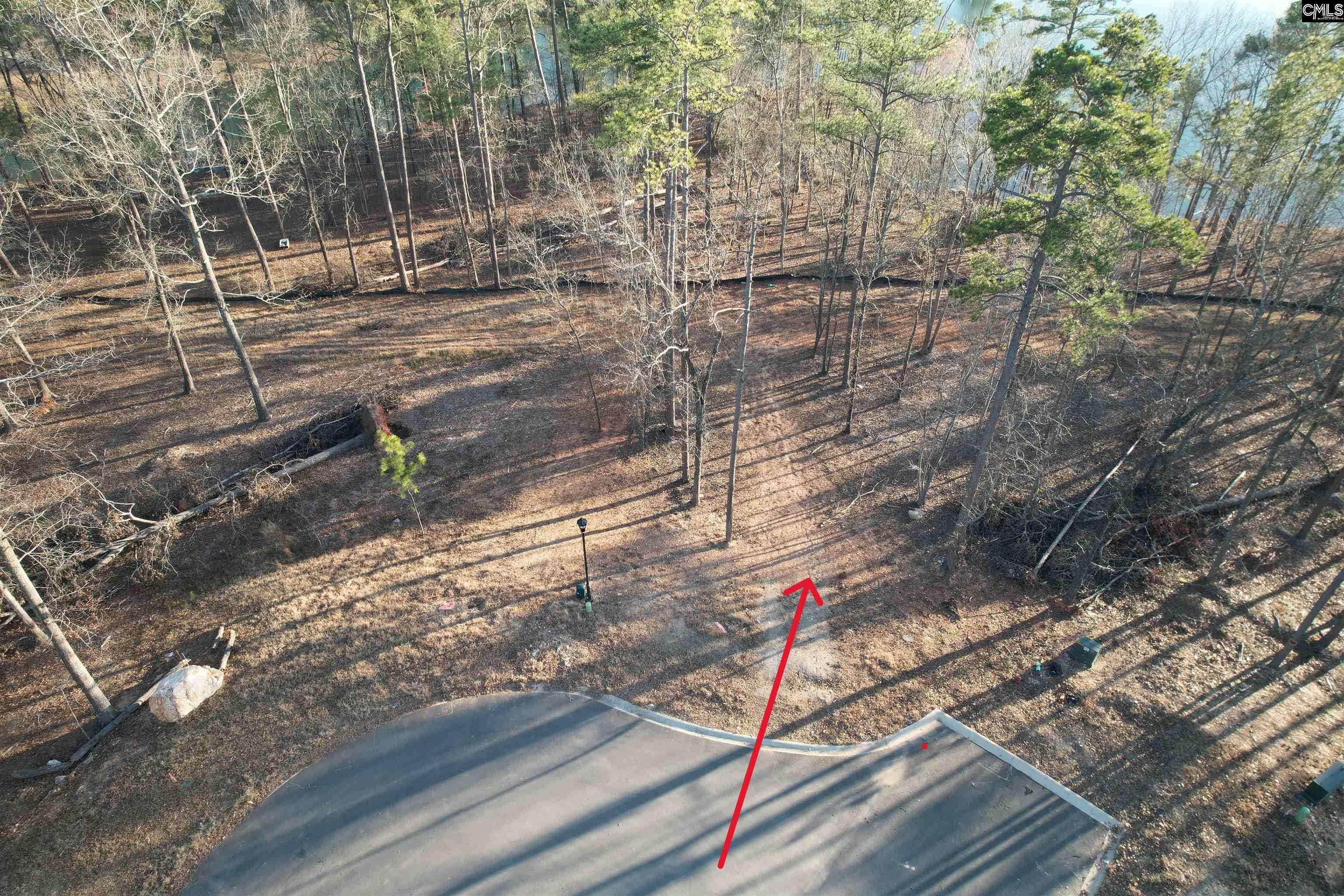 Chapin, SC 29036,1533 Saugus Court