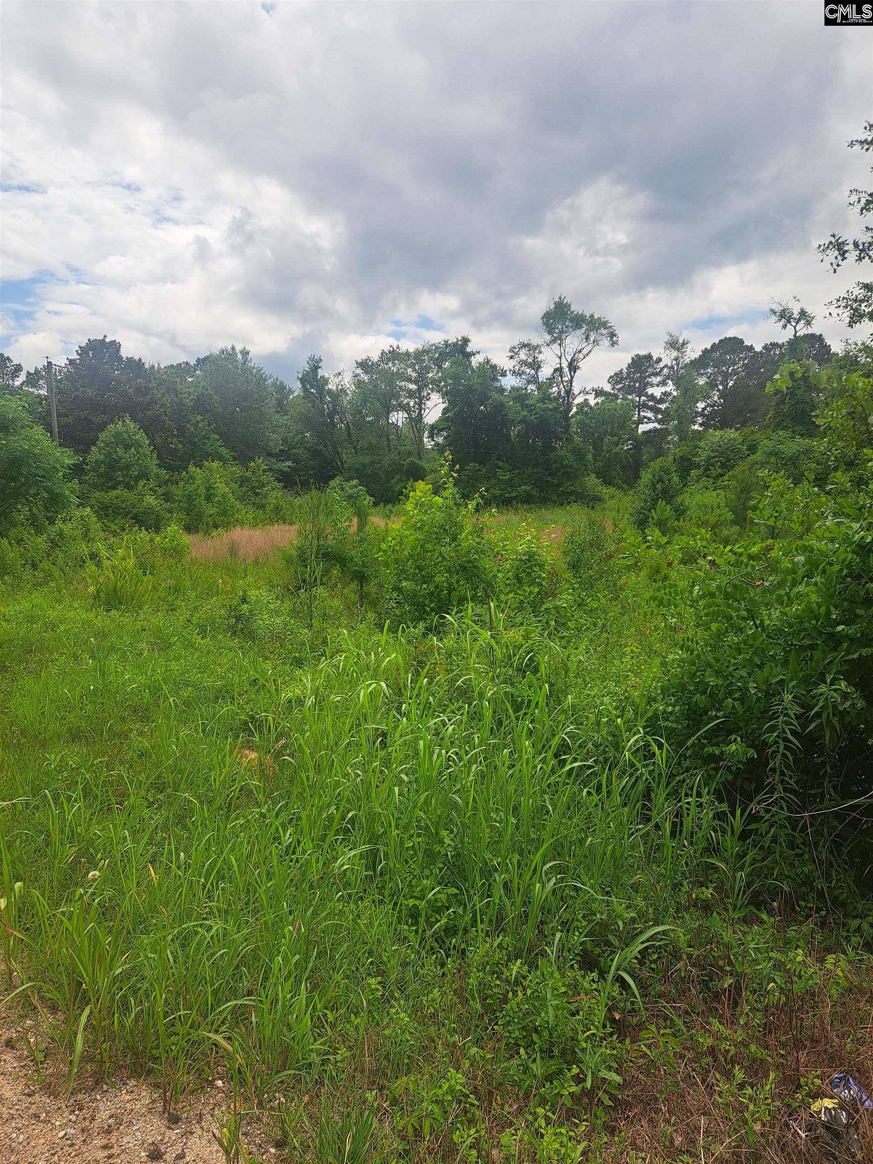 Mcbee, SC 29101,3941 Hillbilly Way Tract 2