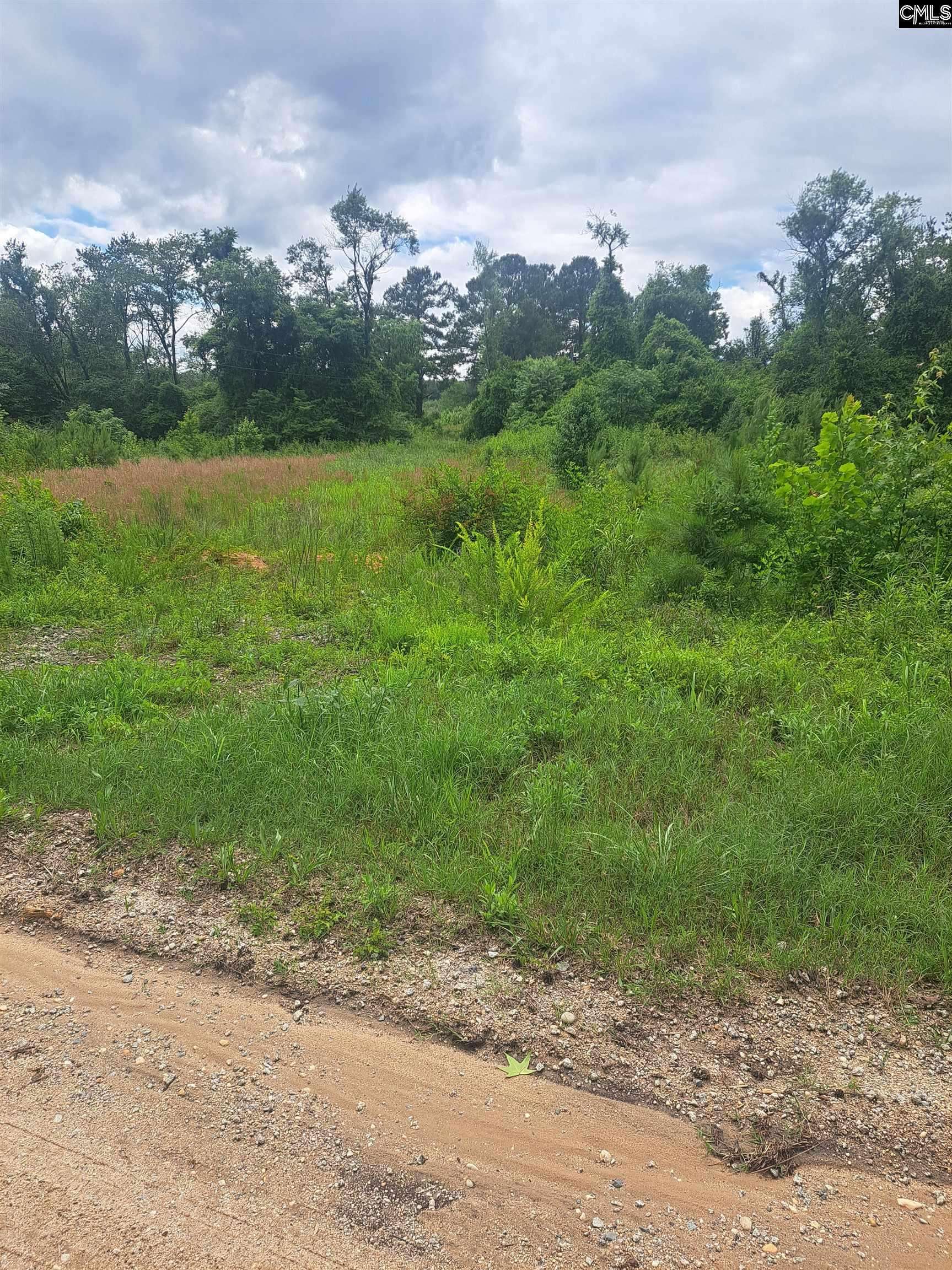 Mcbee, SC 29101,3941 Hillbilly Way Tract 2