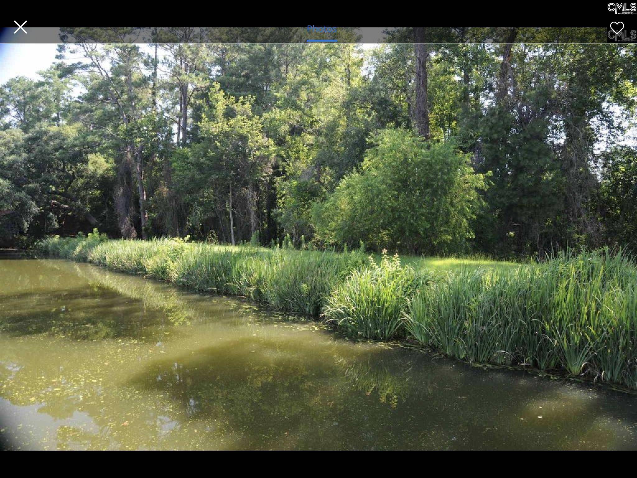 Arcadia Lakes, SC 29223,205 Branch Hill Lane