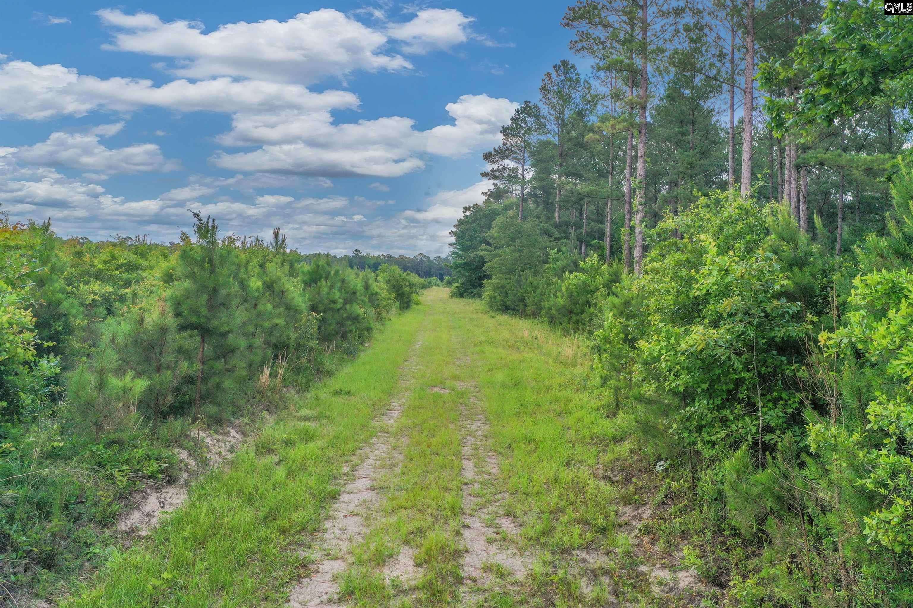 Manning, SC 29102,N Brewington 3