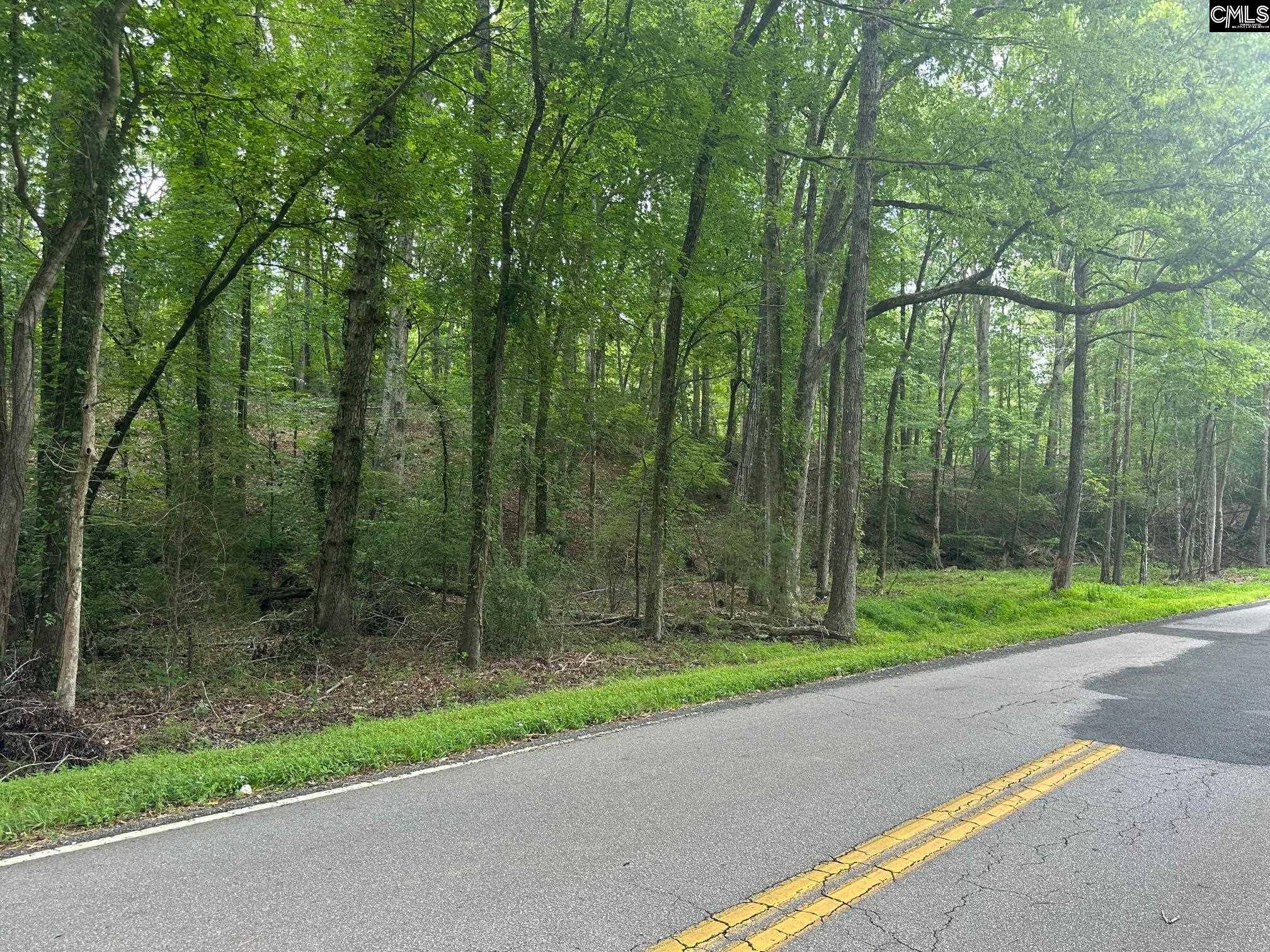 Little Mountain, SC 29075,Mill Road