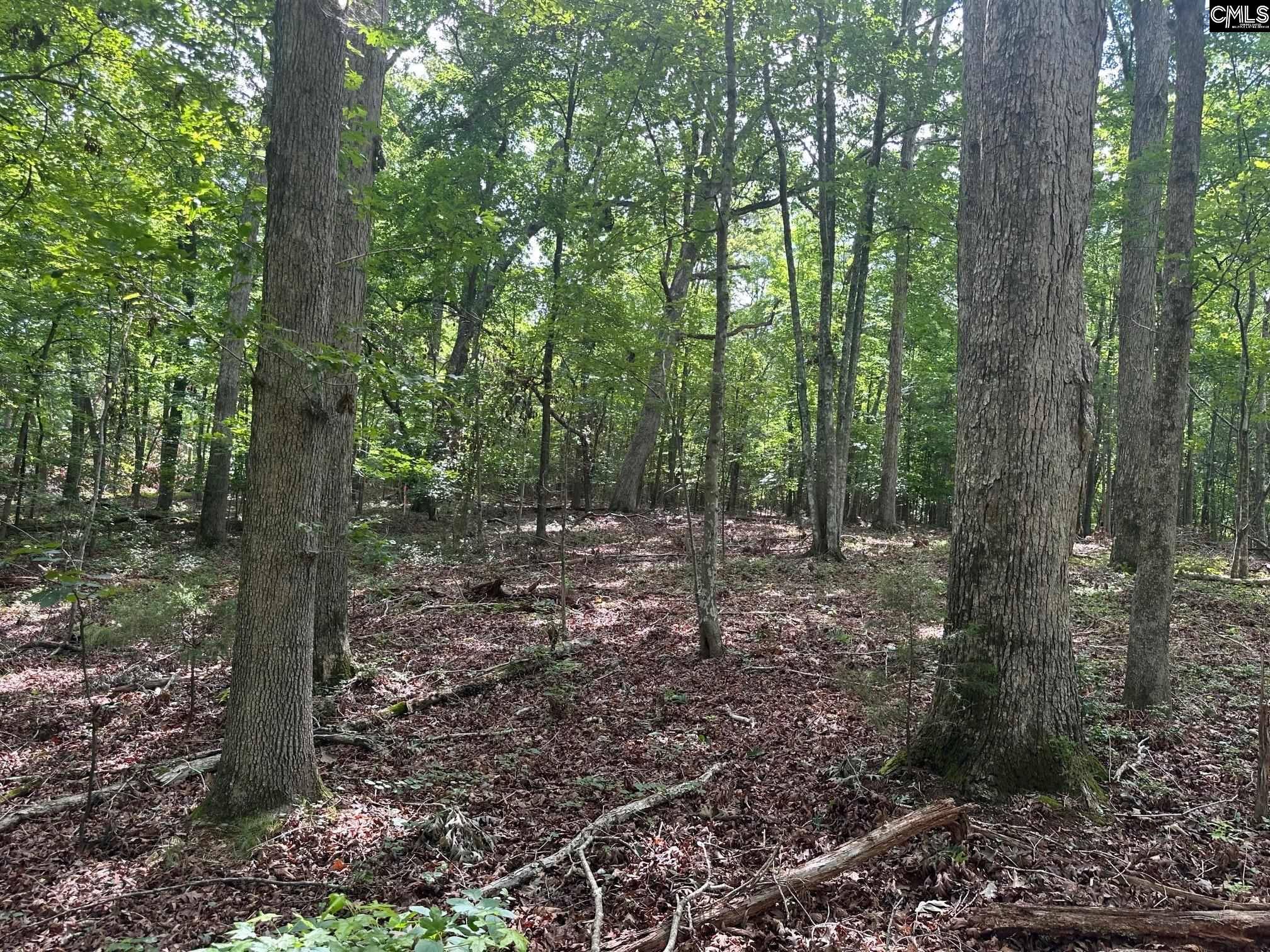 Little Mountain, SC 29075,Mill Road