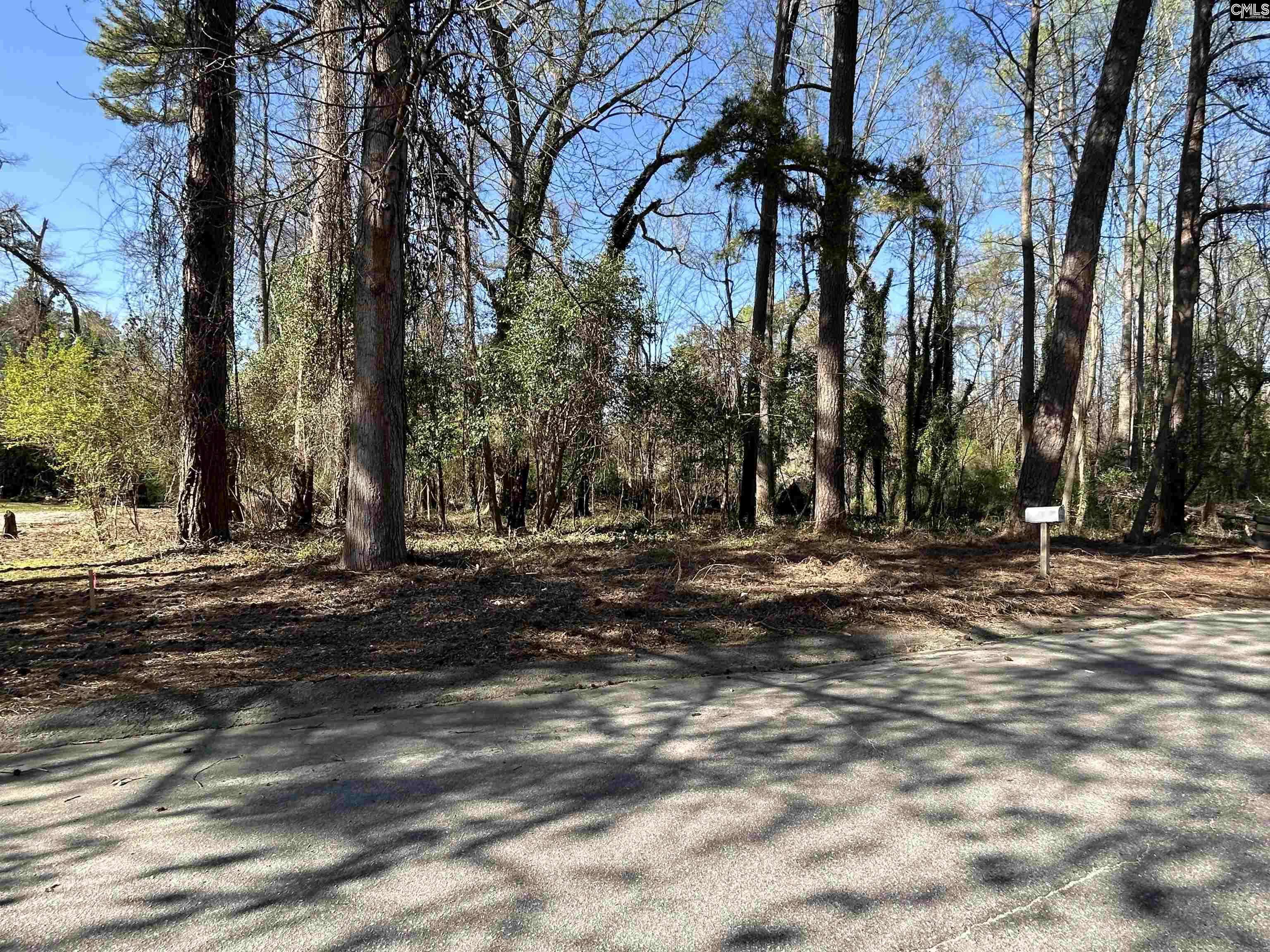 Columbia, SC 29203,305 Bertha Avenue