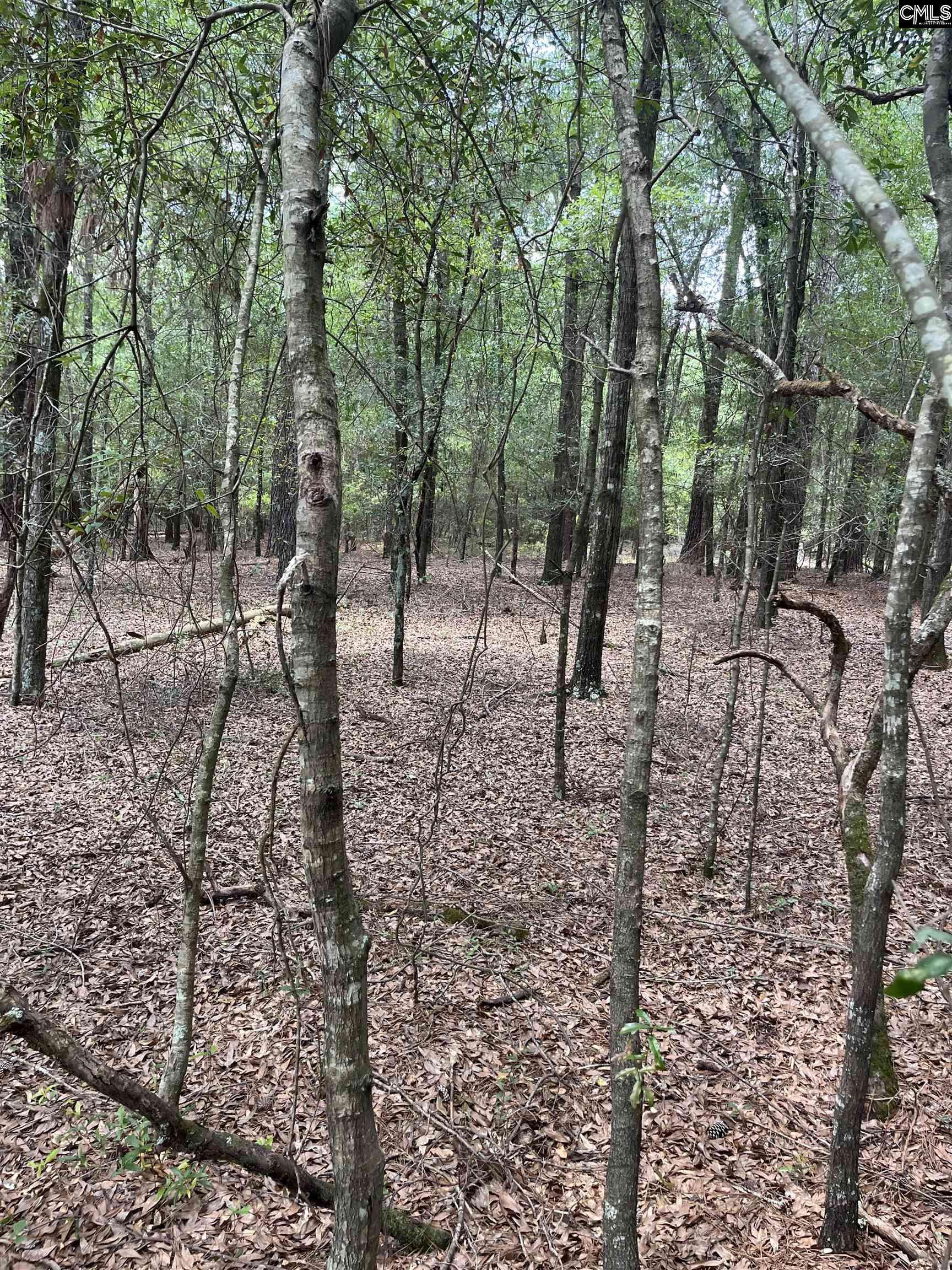 Salley, SC 29137,TBD Weathersby Road