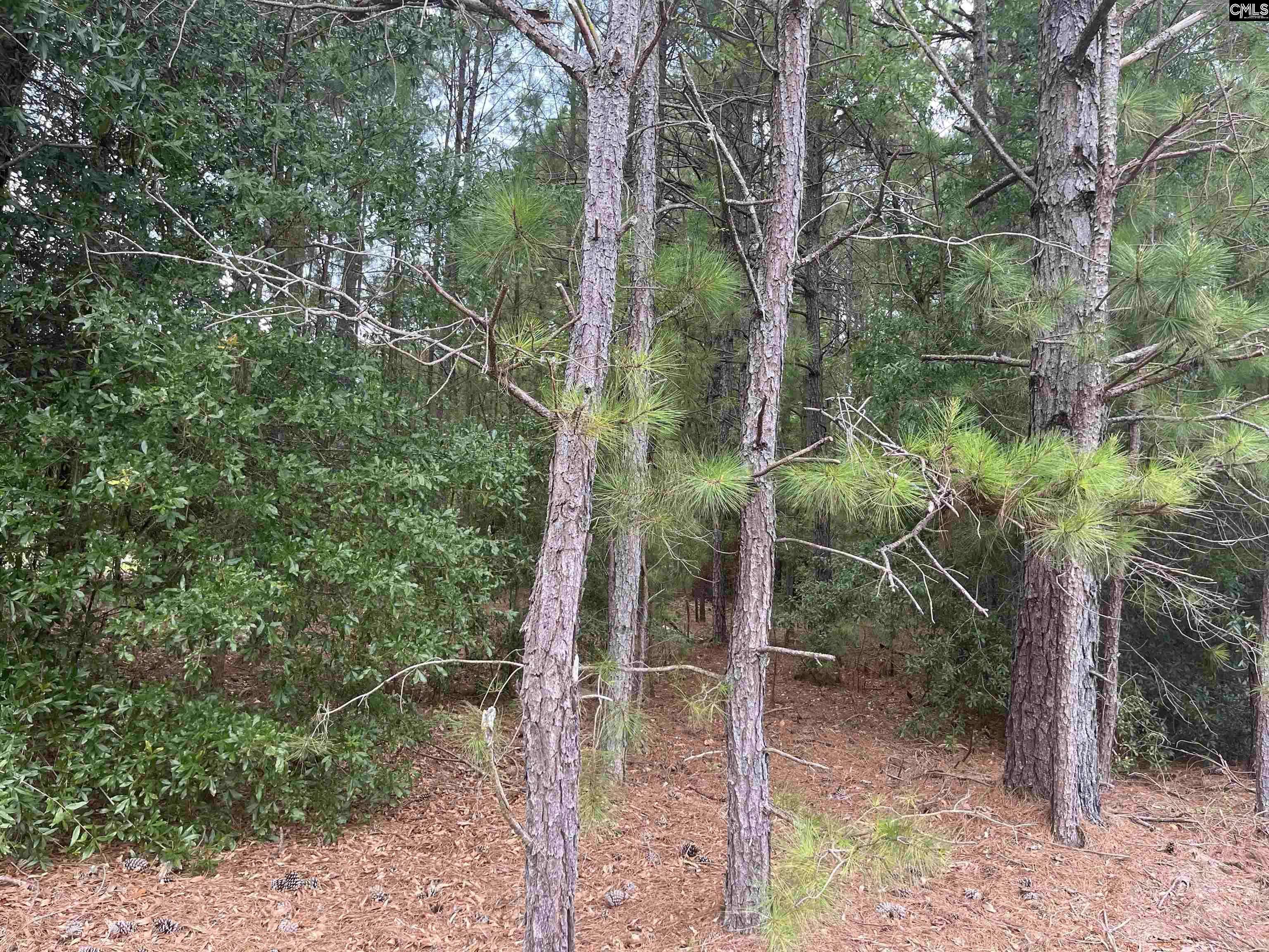 Salley, SC 29137,TBD Festival Trail Road