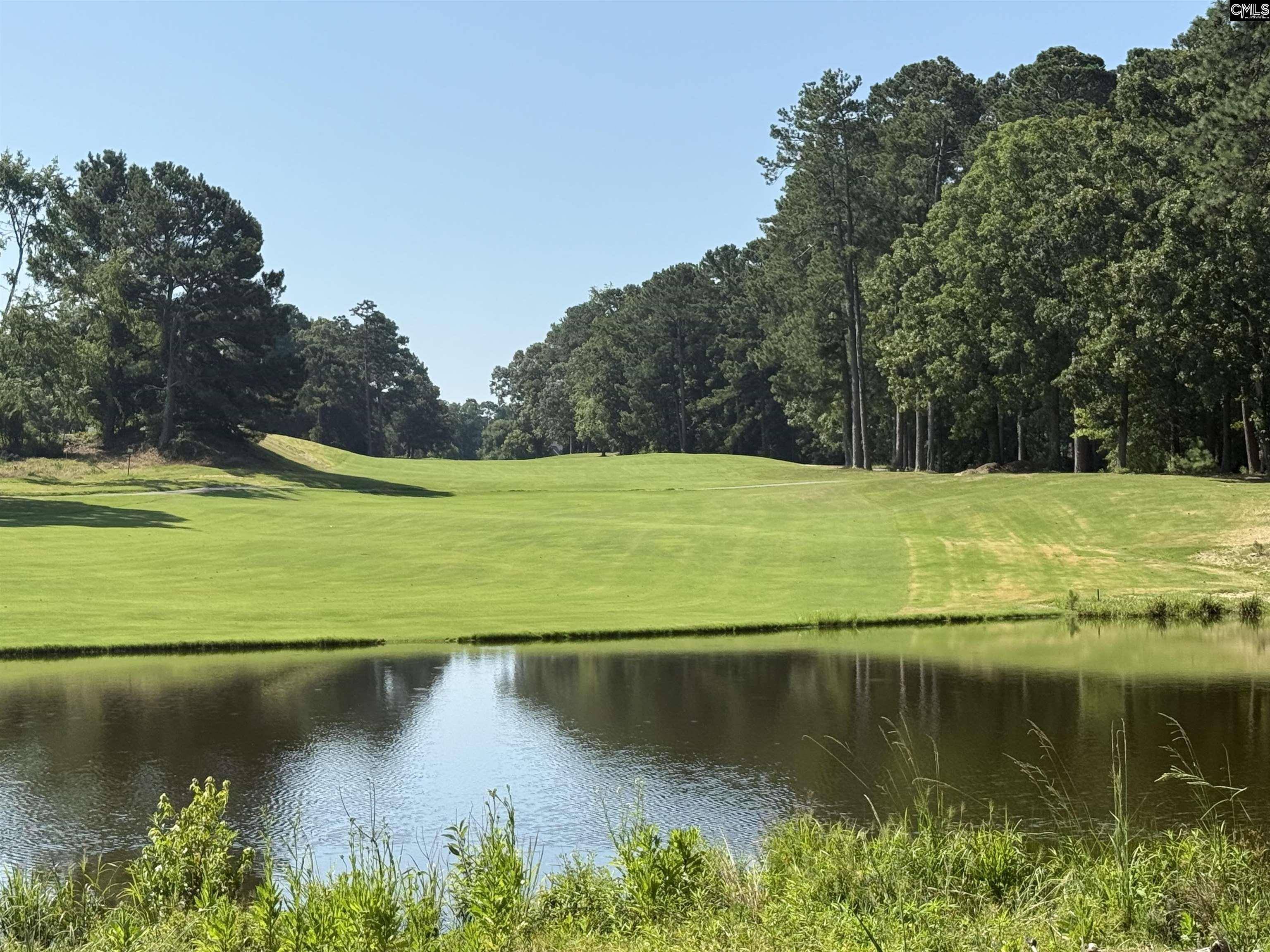 Chapin, SC 29036,108 Oak Trace Ct