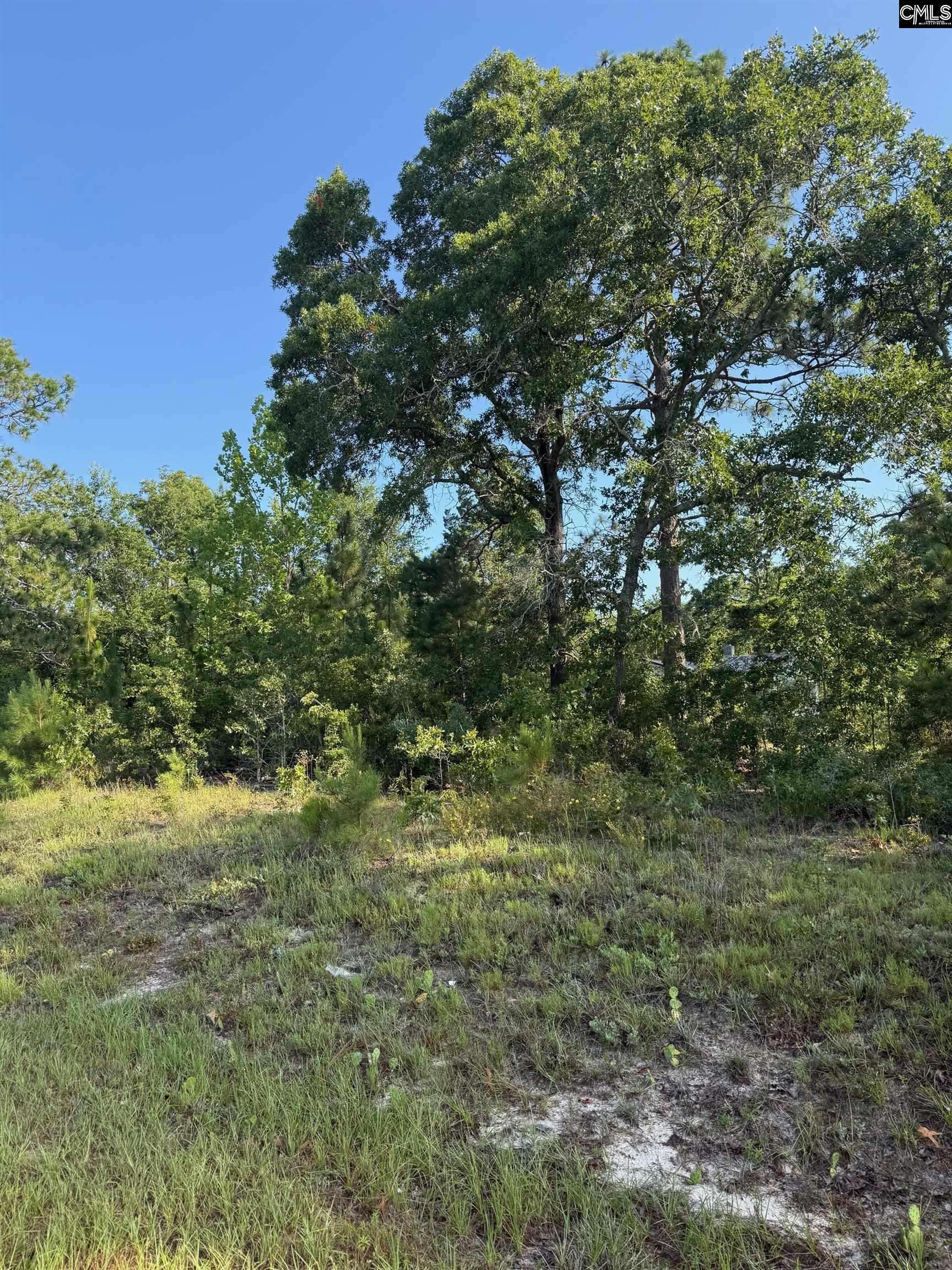 Batesburg, SC 29006,0 Huckleberry Finn Road