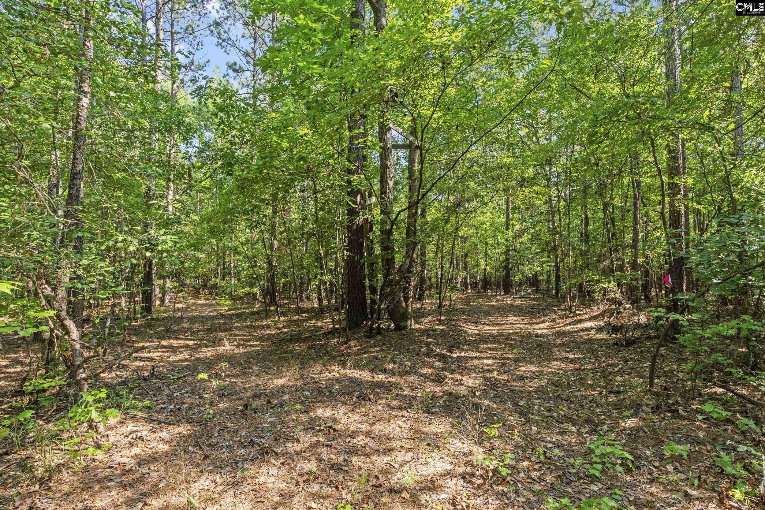 Elgin, SC 29045,259 Sessions Road