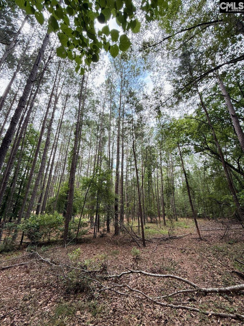 West Columbia, SC 29170,0 Gerrie Lane