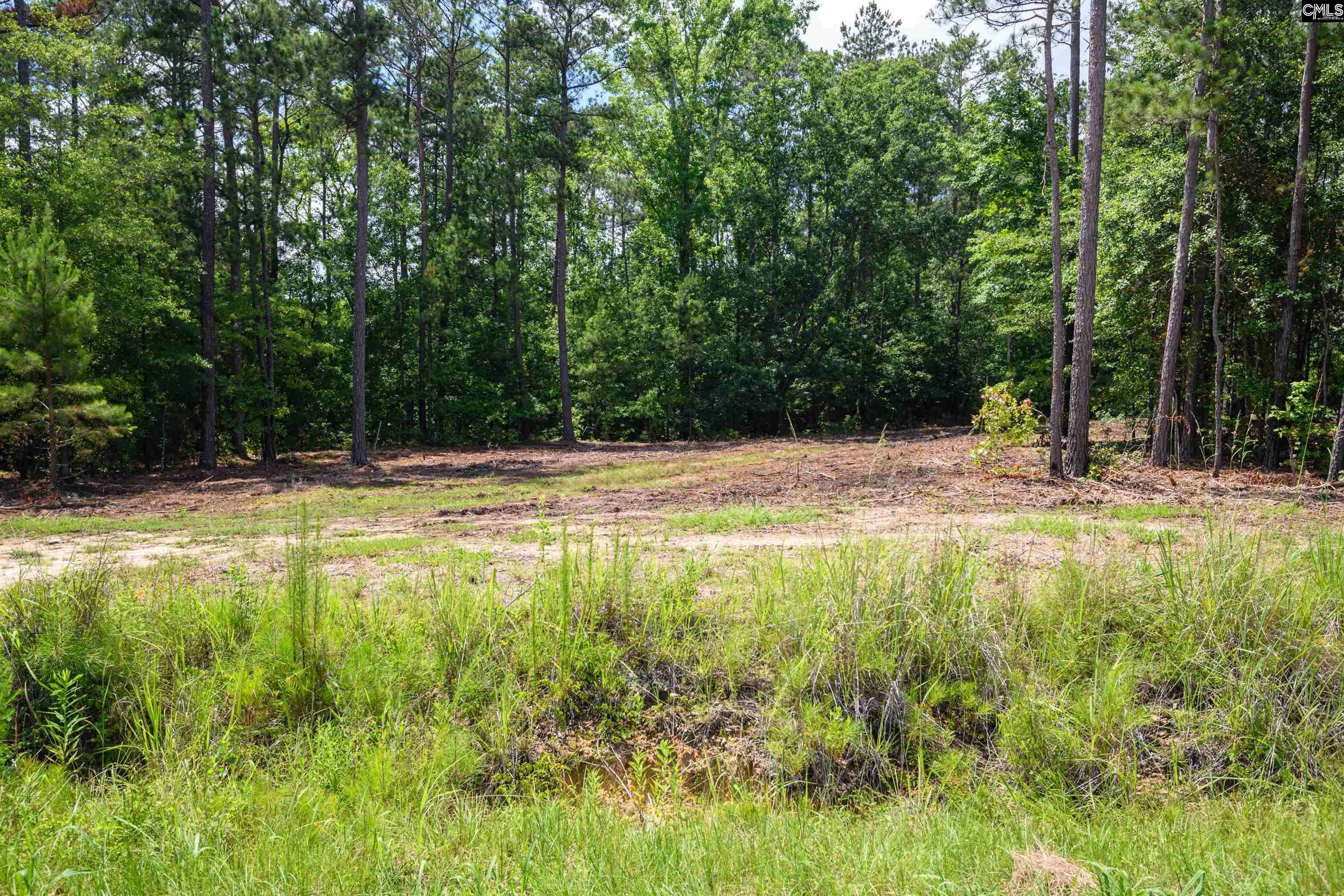 Lexington, SC 29072,Maxie-Lot 2 Road #Lot 2