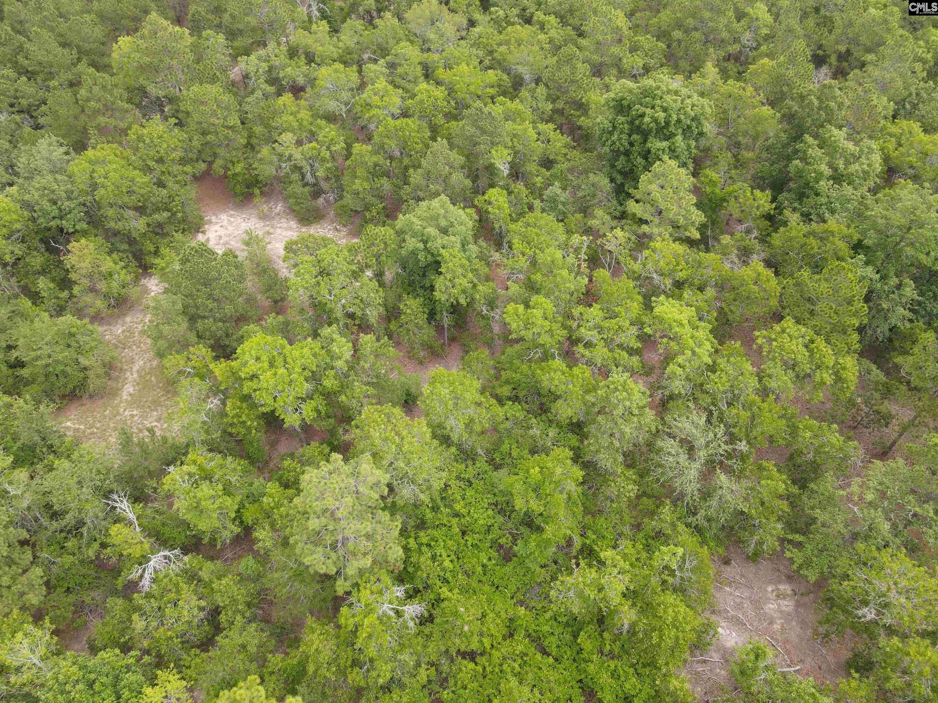 Cassatt, SC 29032,1409 Robinson Town Road 2 #Tract 2