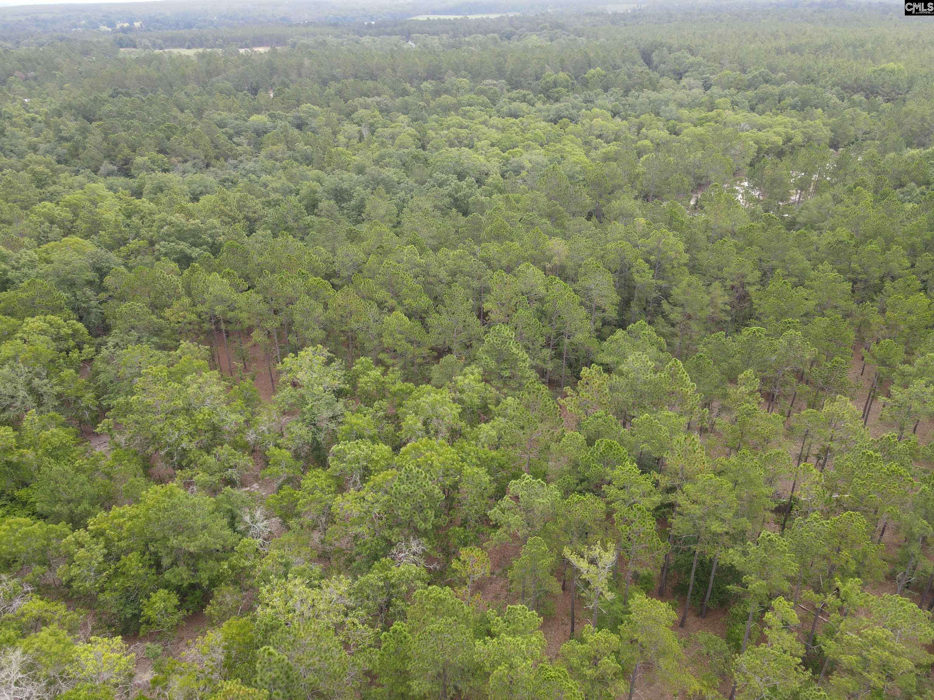 Cassatt, SC 29032,1409 Robinson Town Road 6 #Tract 6