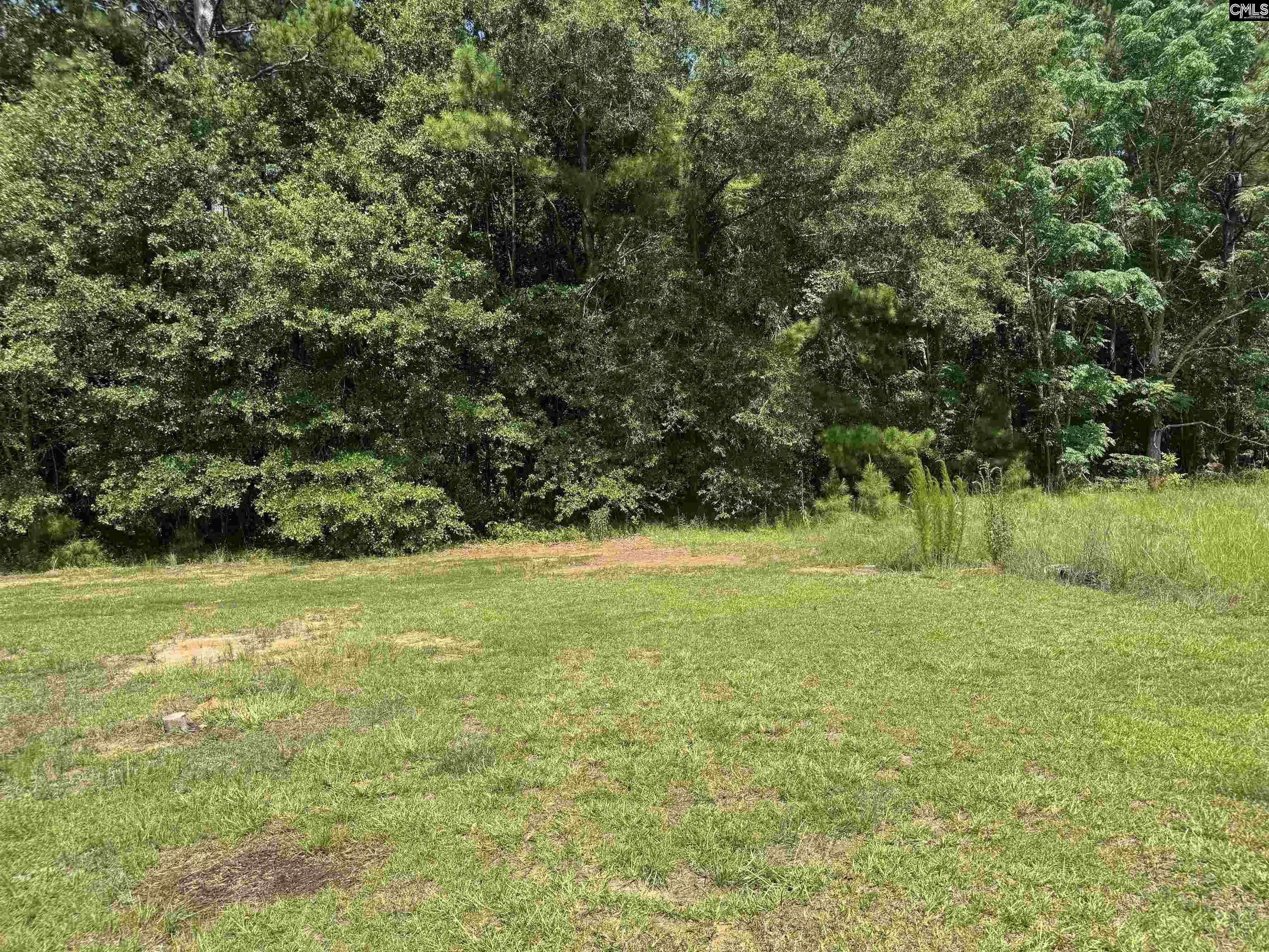 Pinewood, SC 29125,1082 St Marks Road