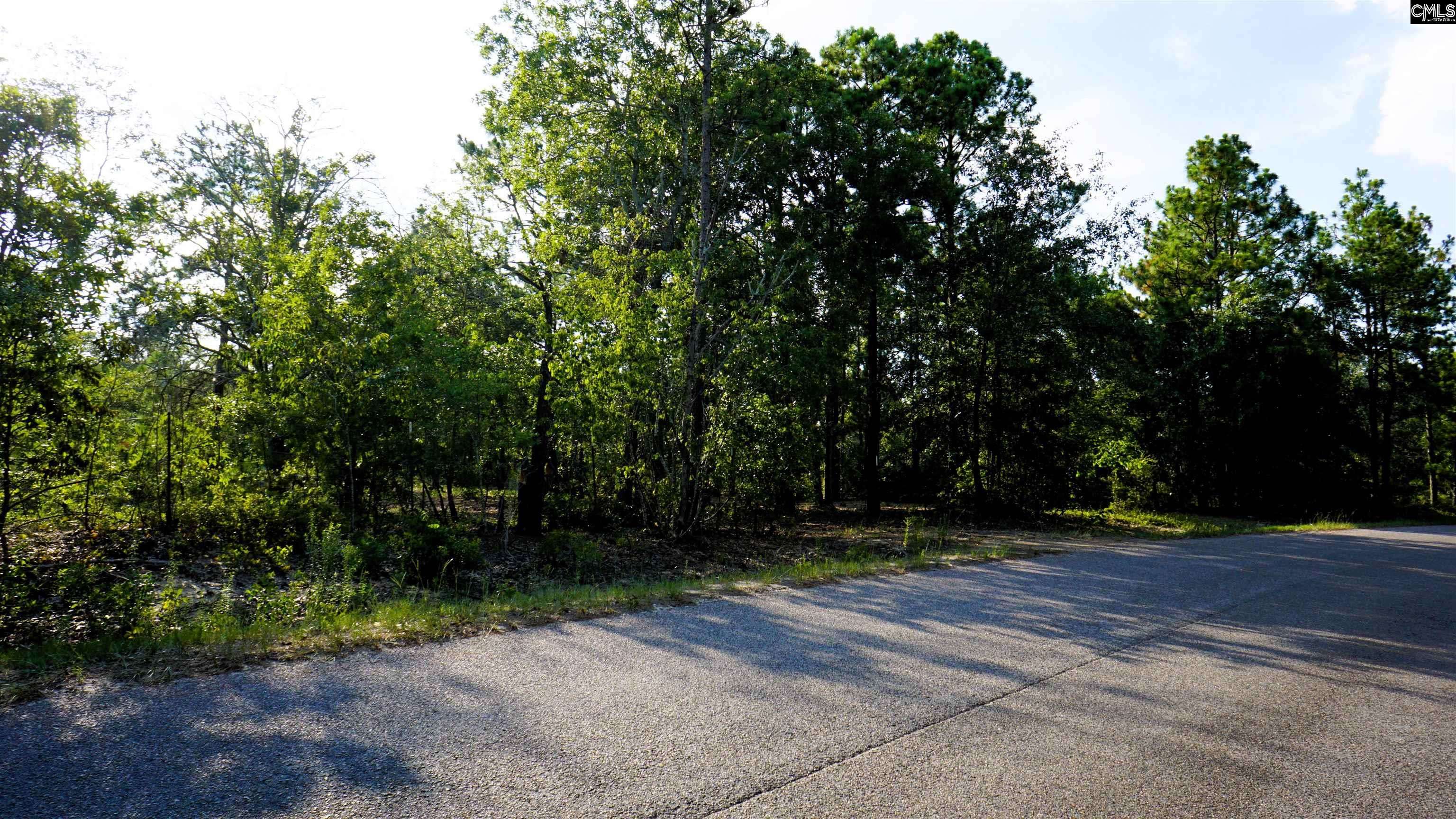 Batesburg, SC 29006,302 Blue Poppy Road