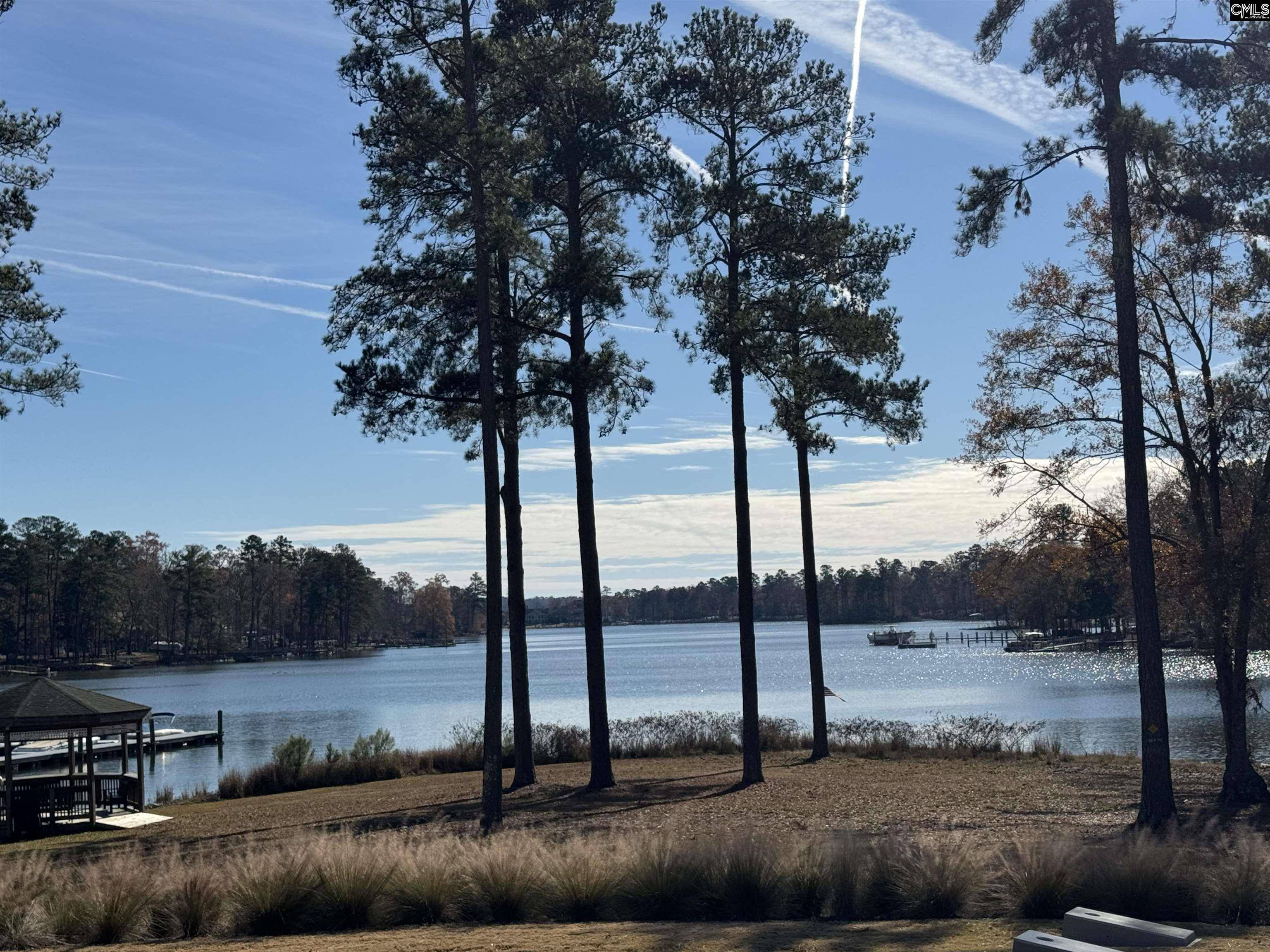 Prosperity, SC 29127,Lot 214 Hollands Landing Road #Lot 214