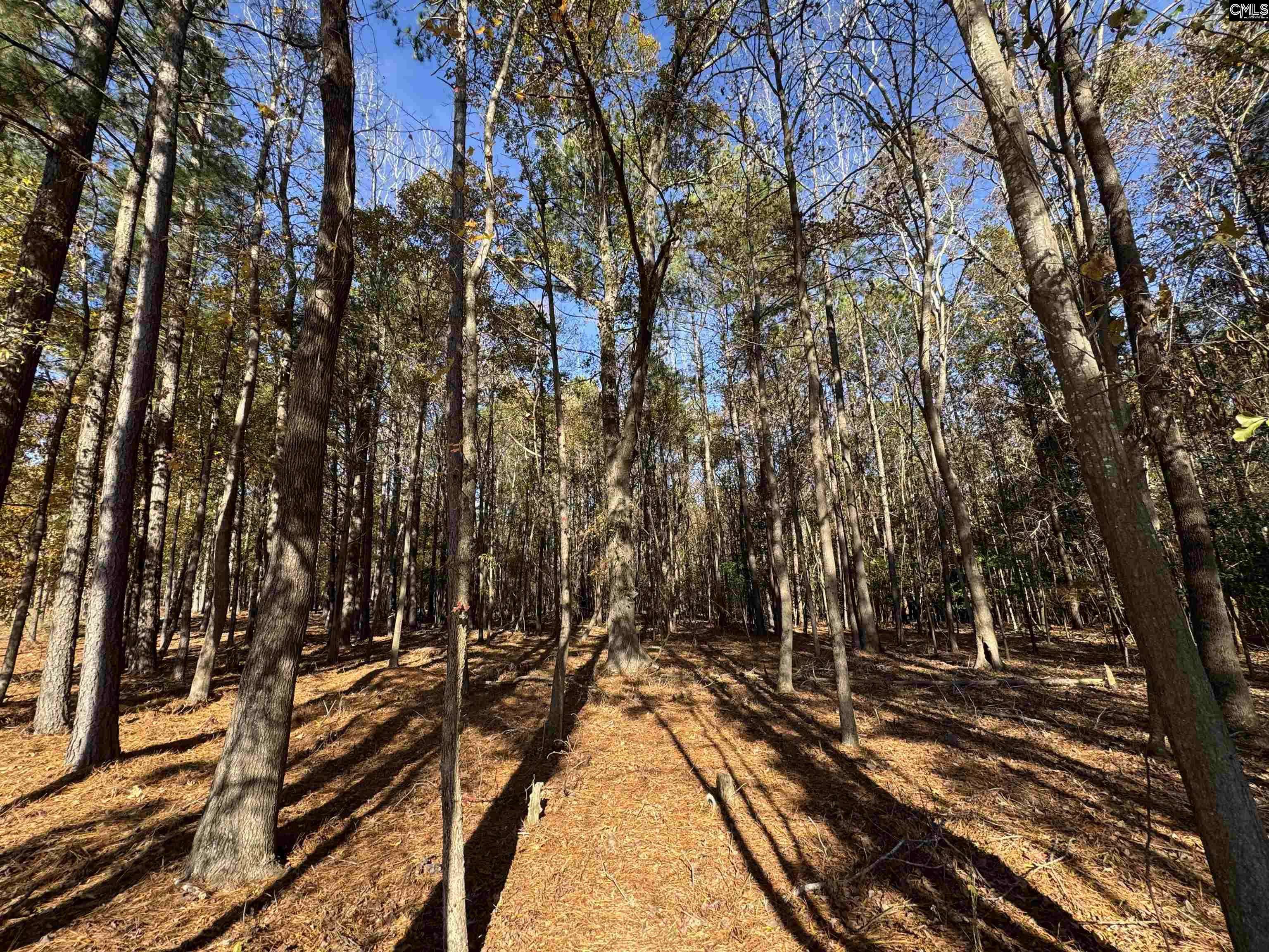 Prosperity, SC 29127,Lot 210 Circle H. Woods Road #210