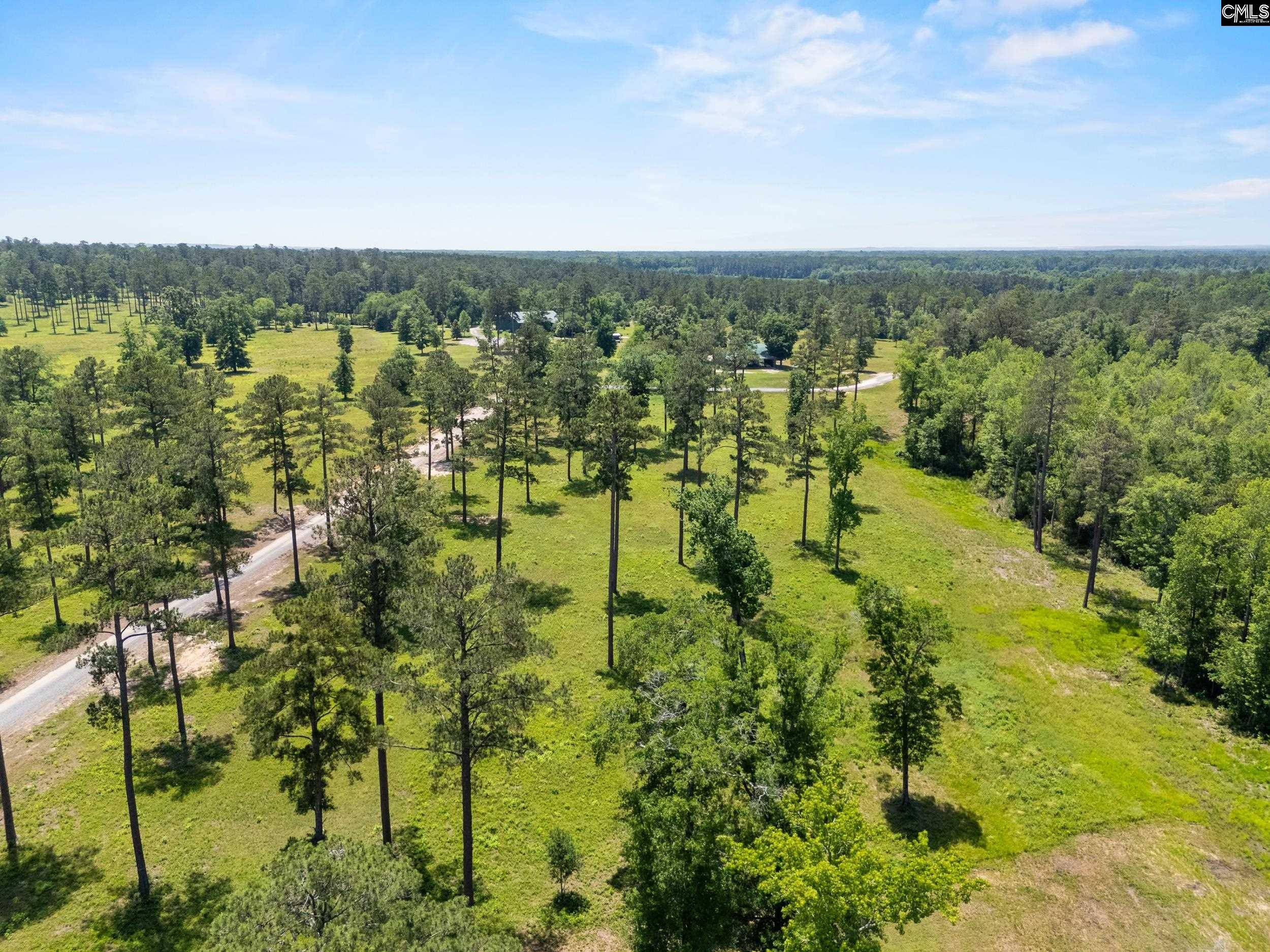 Rembert, SC 29128,1626 Sumter Highway Lot 2 #2