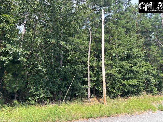 West Columbia, SC 29170,Lot 1 Micala Drive #1