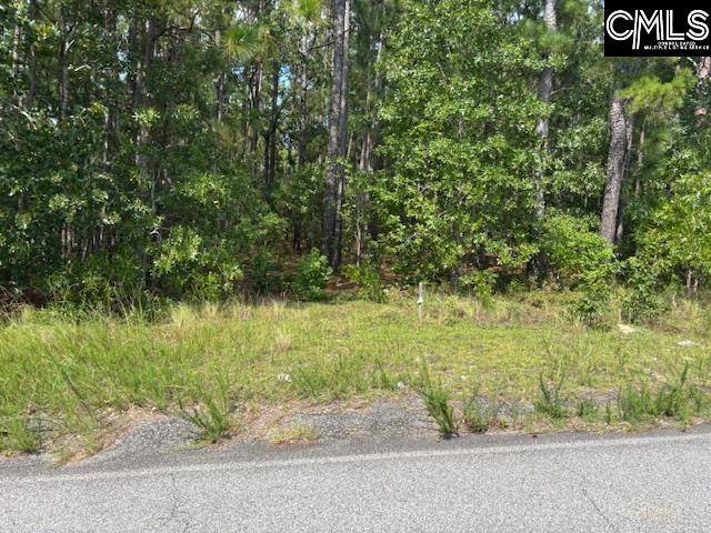 West Columbia, SC 29170,Lot 1 Micala Drive #1