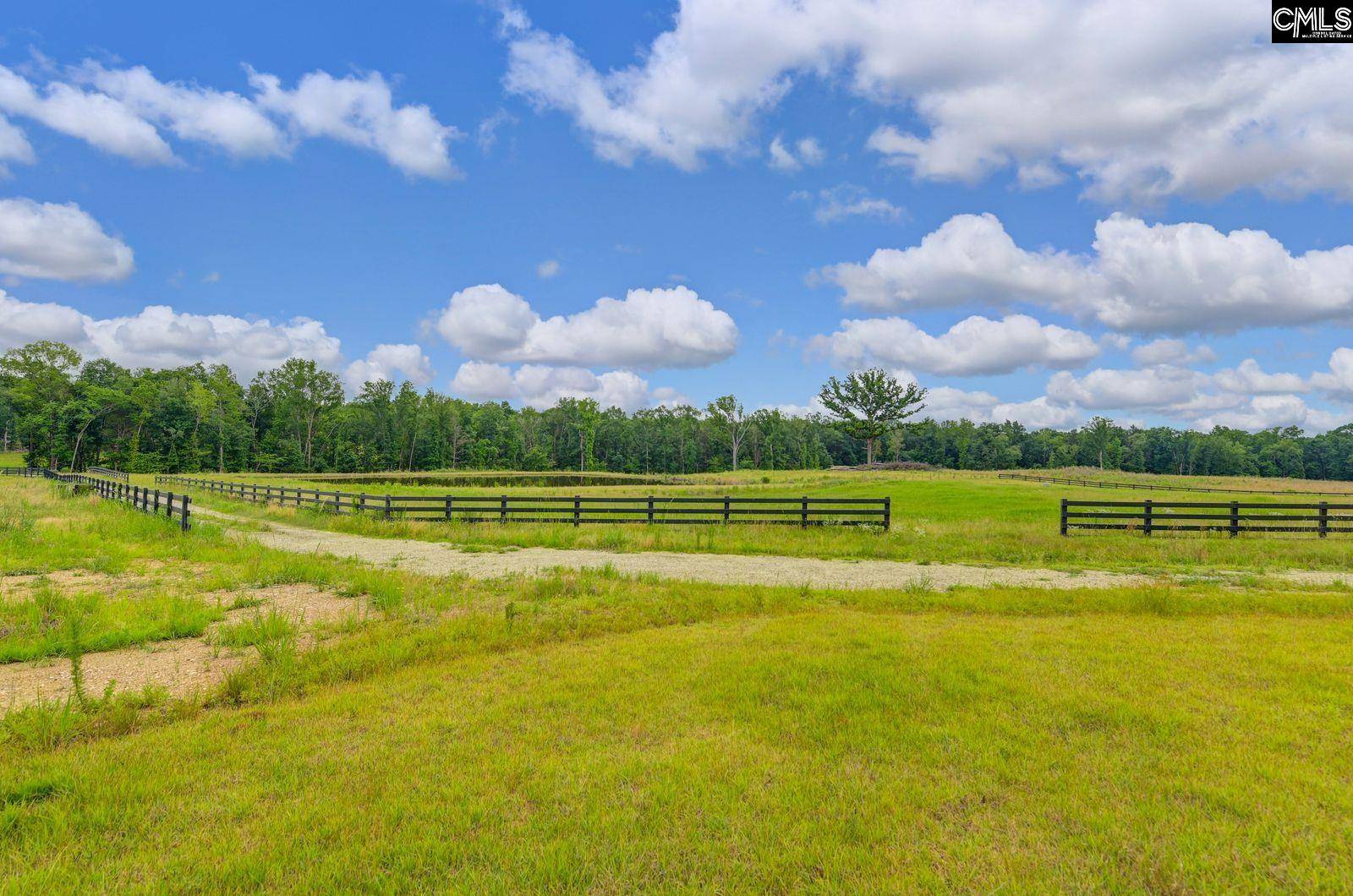 Chapin, SC 29036,2544 Wessinger Road #Lot 3