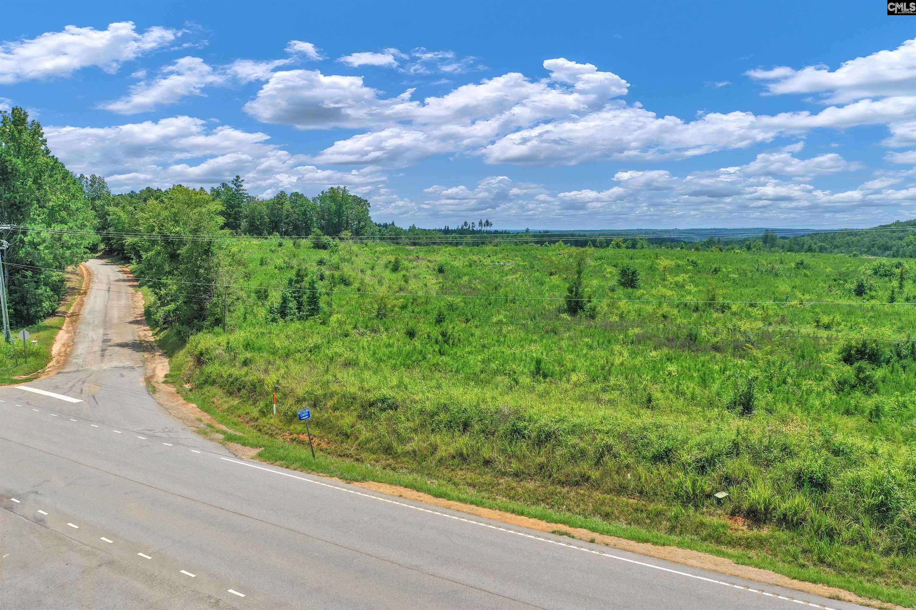 Jenkinsville, SC 29065,0000 Hwy 215 6 #6