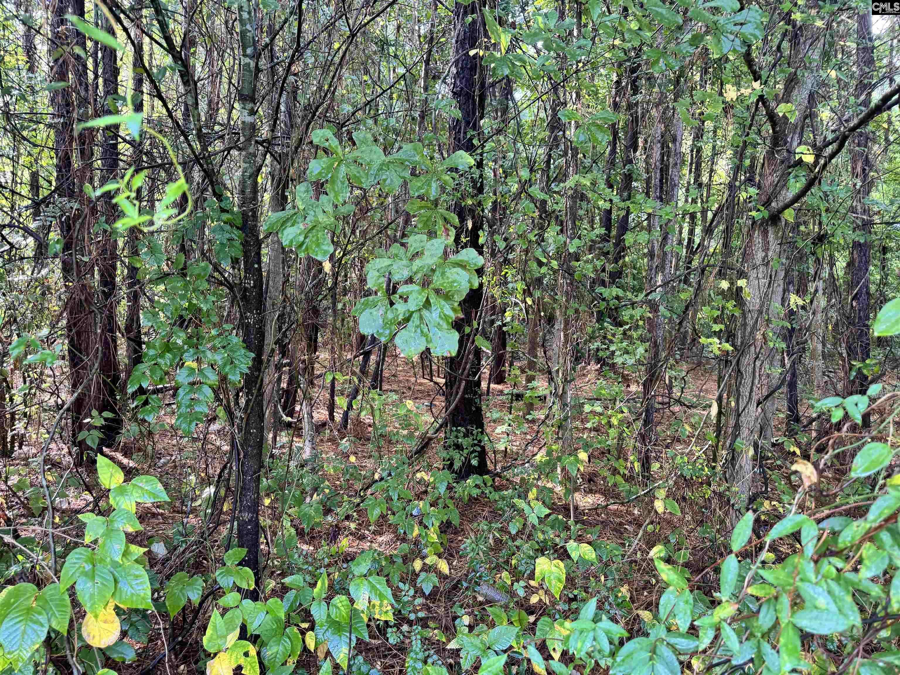 Camden, SC 29020-0000,1906 Medfield Drive