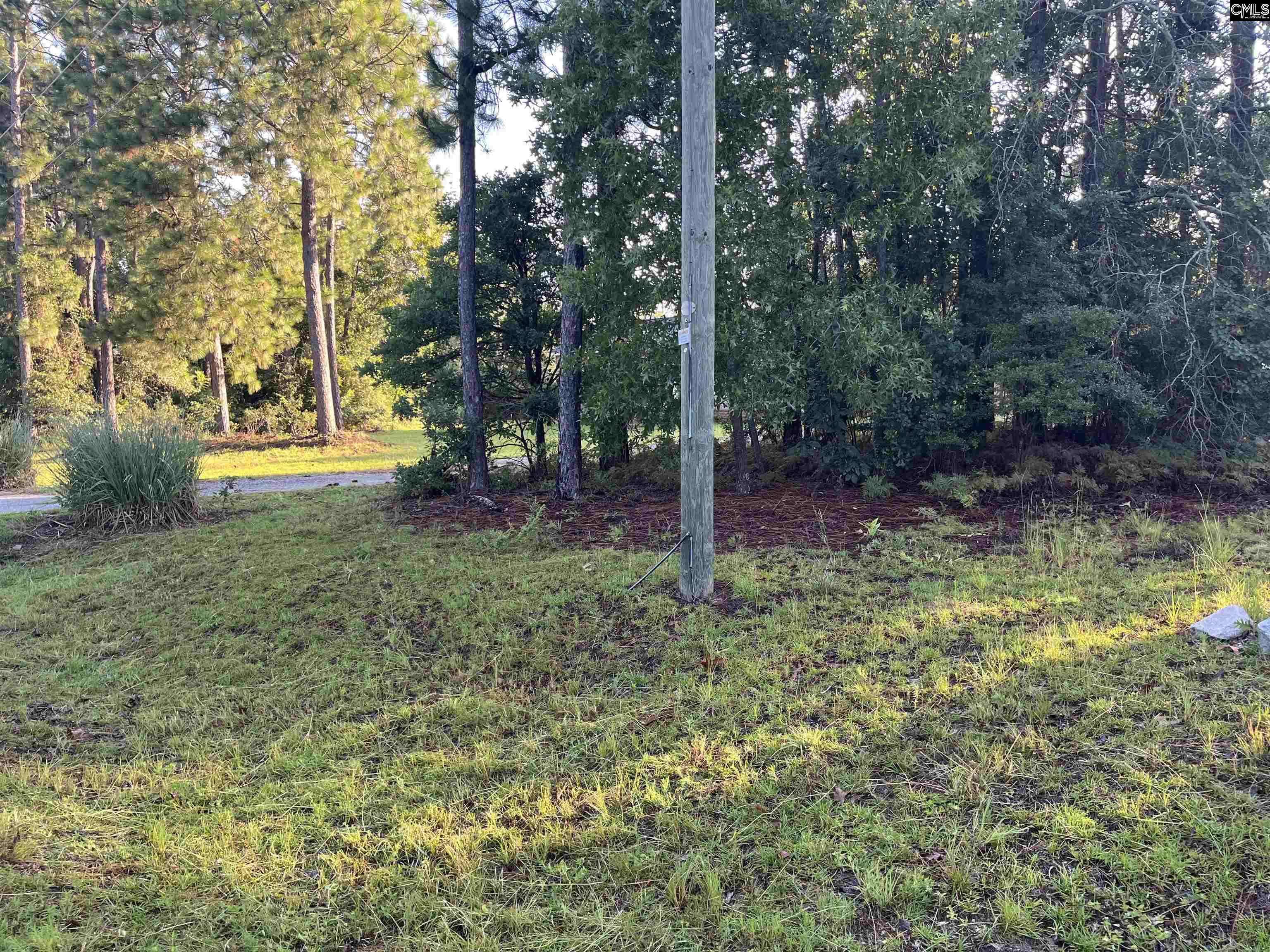 Pelion, SC 29123,1863 WATER TANK Road