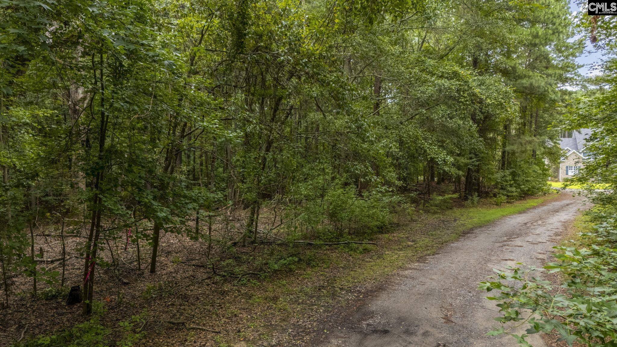 Lexington, SC 29072,227 Will Dent Road #B