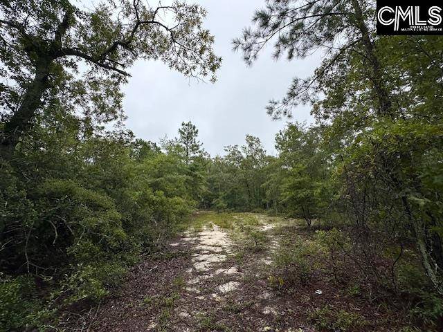 Gaston, SC 29053,P/O 1375 Fallaw Road