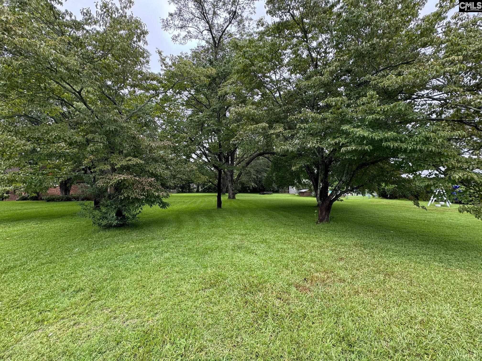 Leesville, SC 29070,0 Rawls Drive