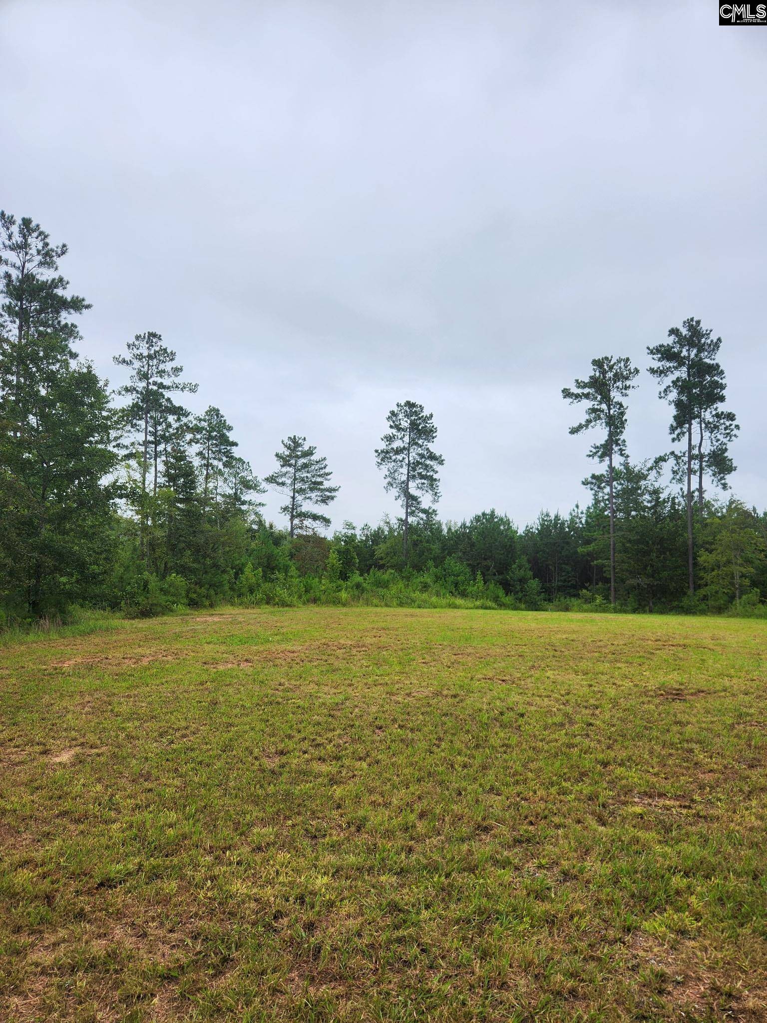 Saluda, SC 29138,203 Legend Drive