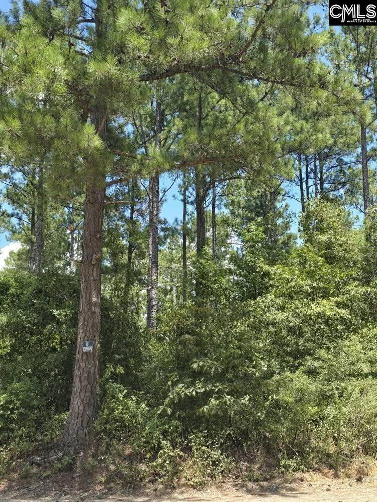 Elgin, SC 29045,586 Tillman Road