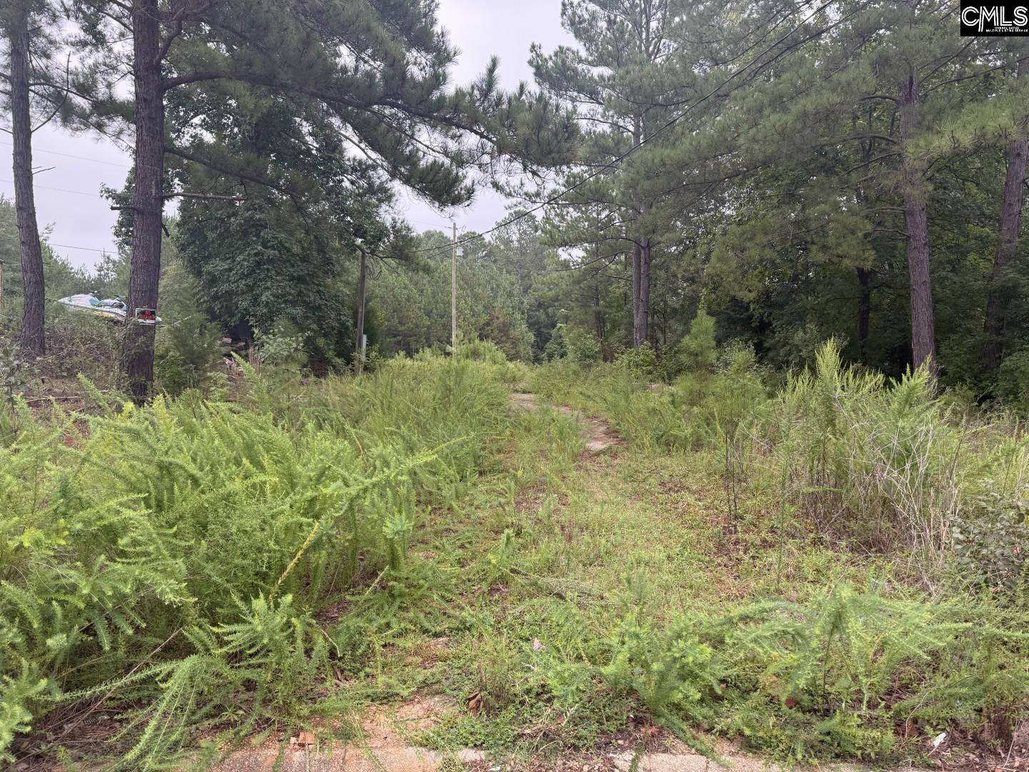 Columbia, SC 29203,6 Heron Court