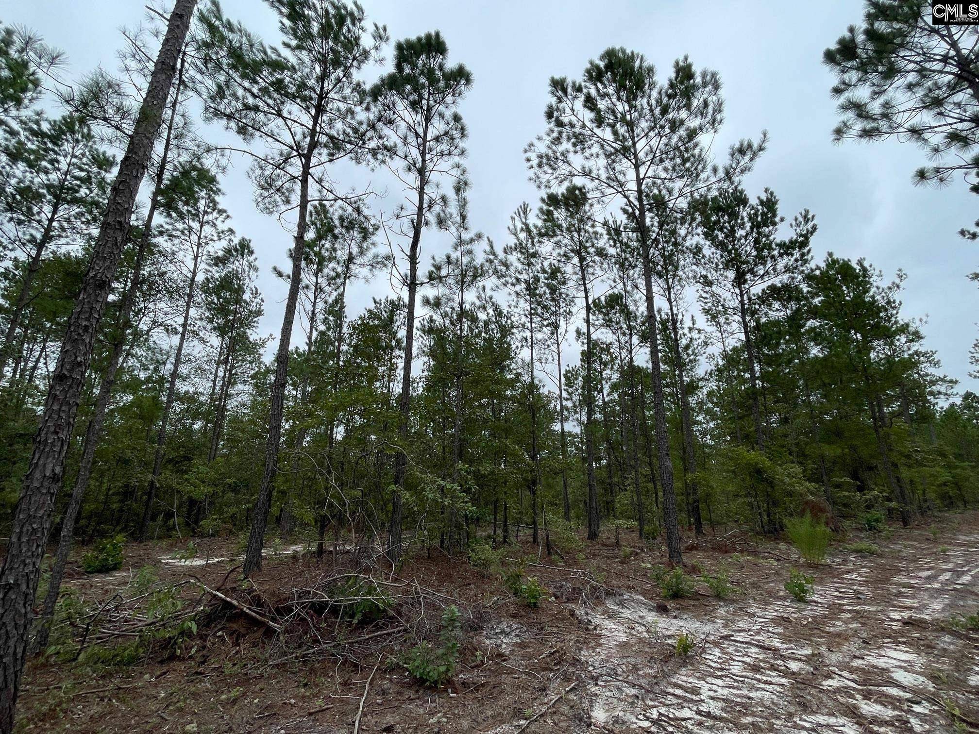 Cassatt, SC 29032,1870 Henry Davis Road 3