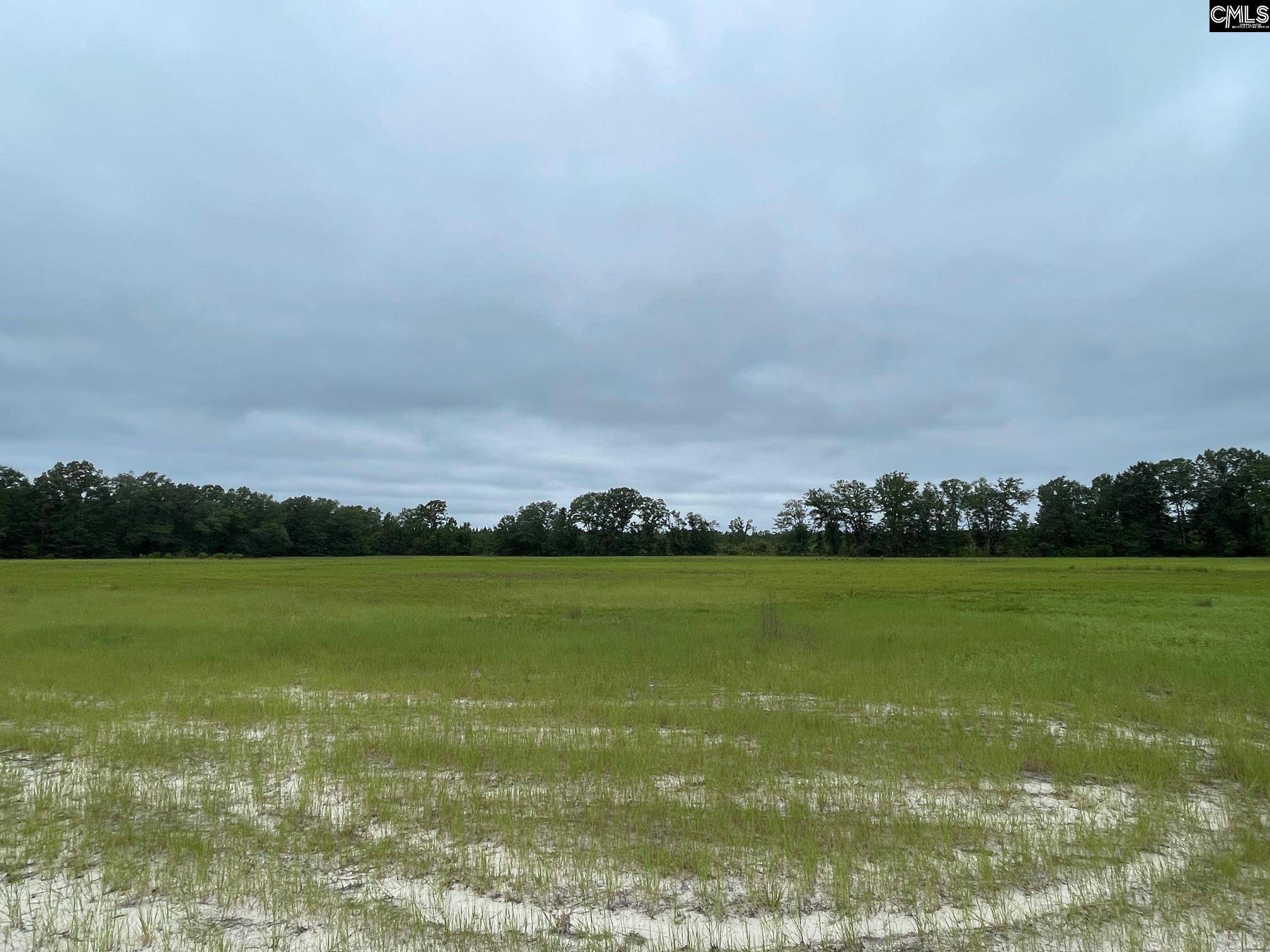 Cassatt, SC 29032,1870 Henry Davis Road 4