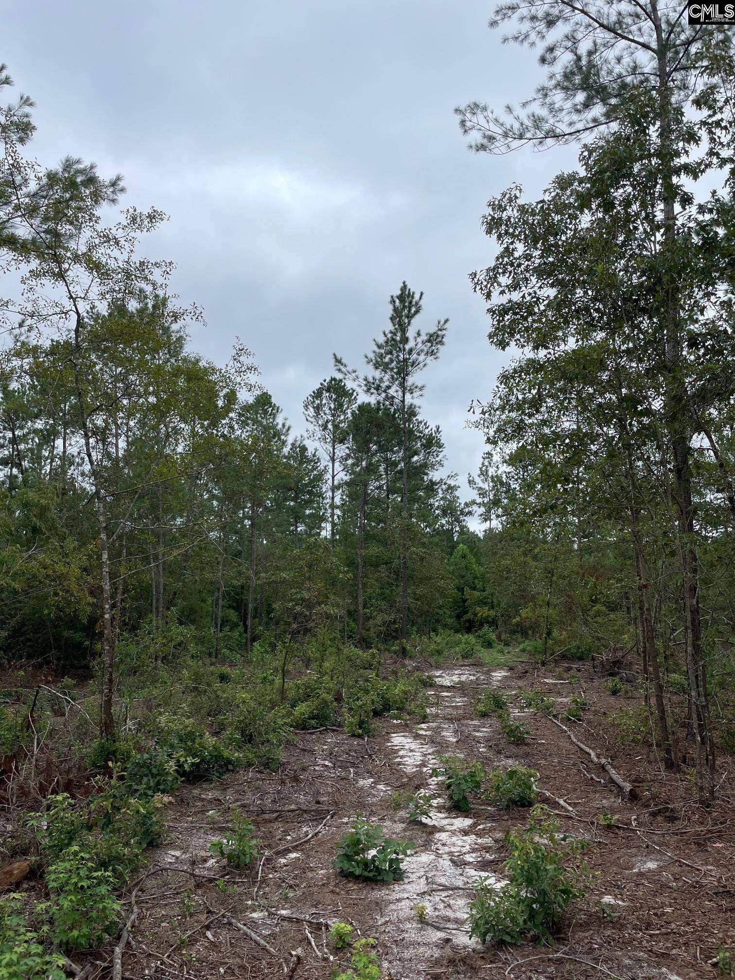 Cassatt, SC 29032,1870 Henry Davis Road 5