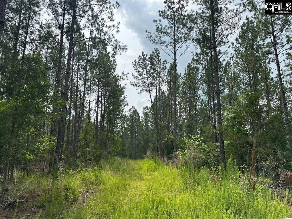 Winnsboro, SC 29180,Turkey Creek Road