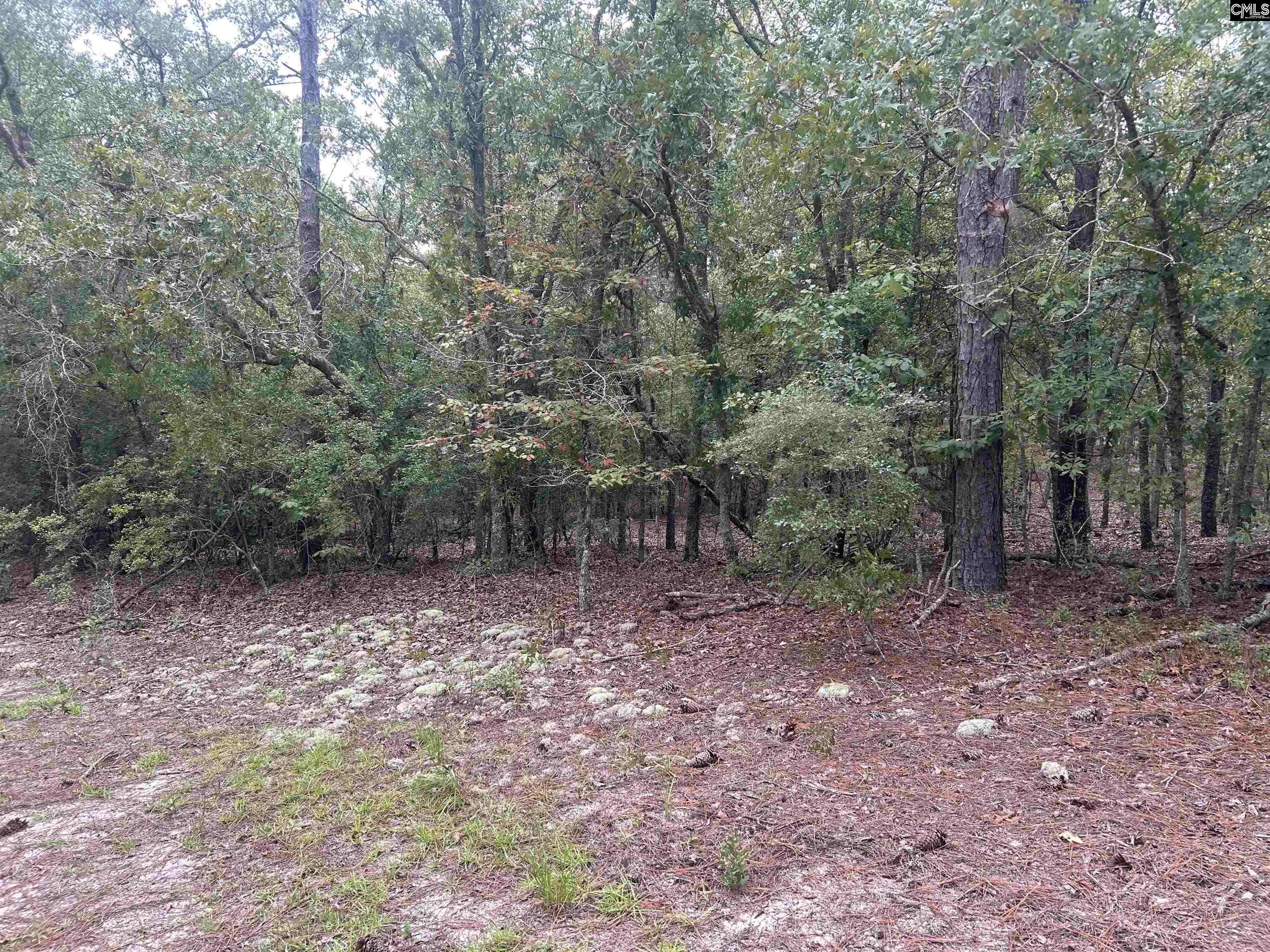 Eastover, SC 29044,1100 Lassiter Jacobs Road