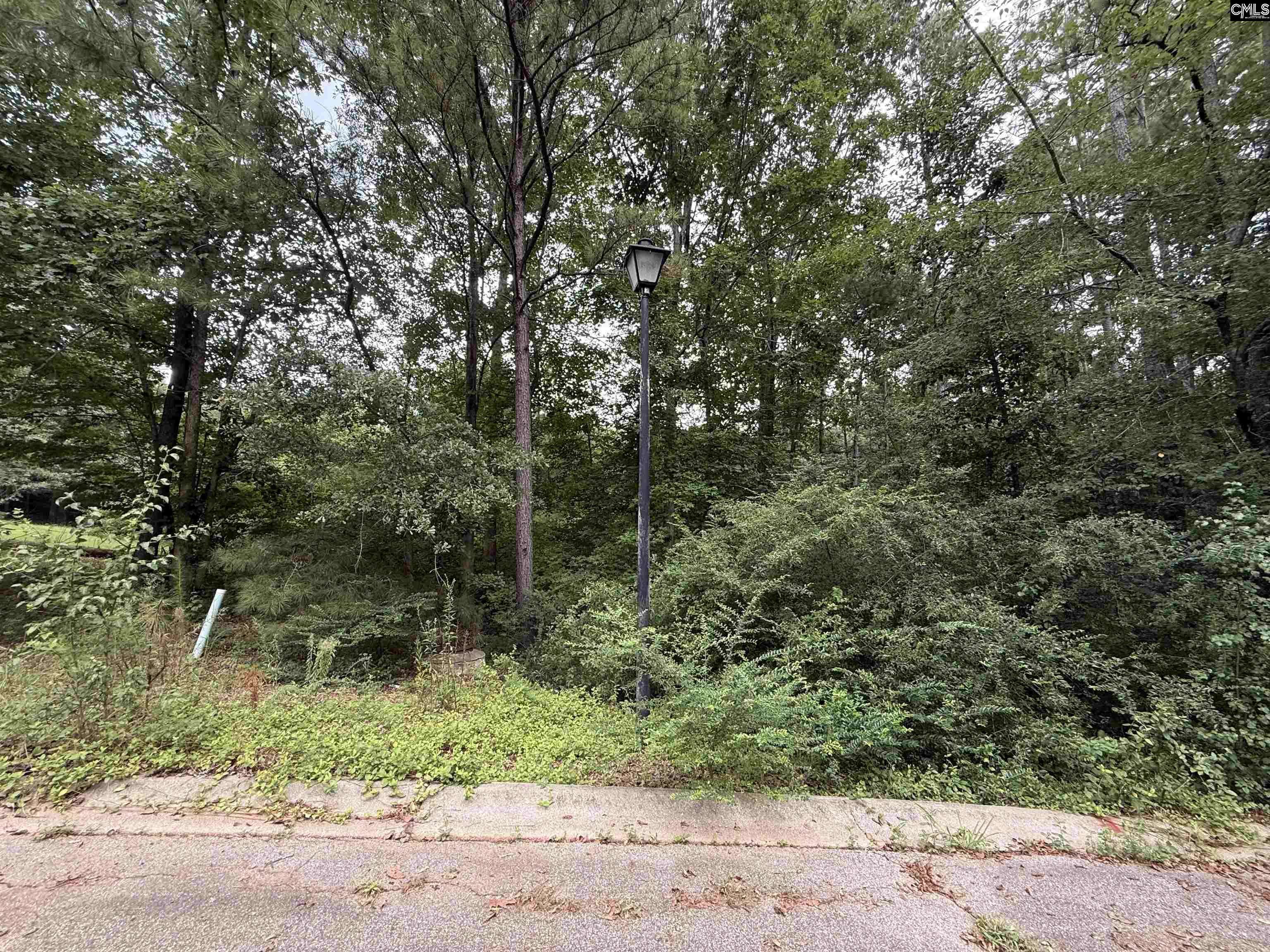 Winnsboro, SC 29180,TBD Timberlane Drive