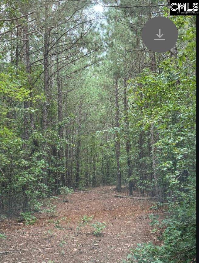Ninety Six, SC 29138,Lot M Old Edgefield Road